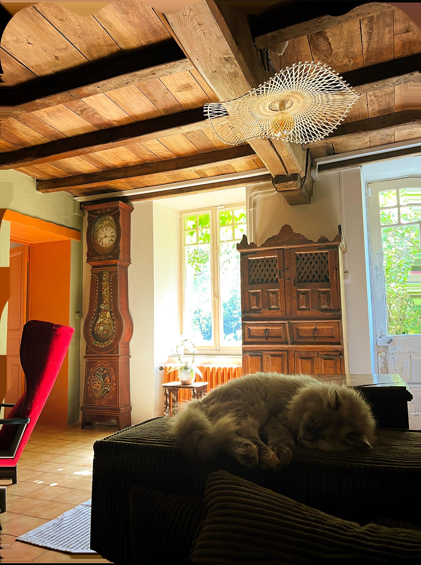 Living room with wooden beams, antique clock and cat napping on the sofa