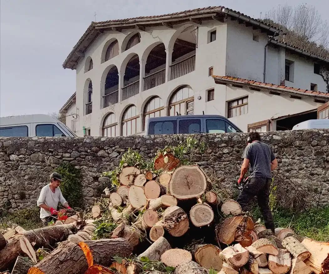 FEM Rural - La llenya que ens escalfa a l'hivern