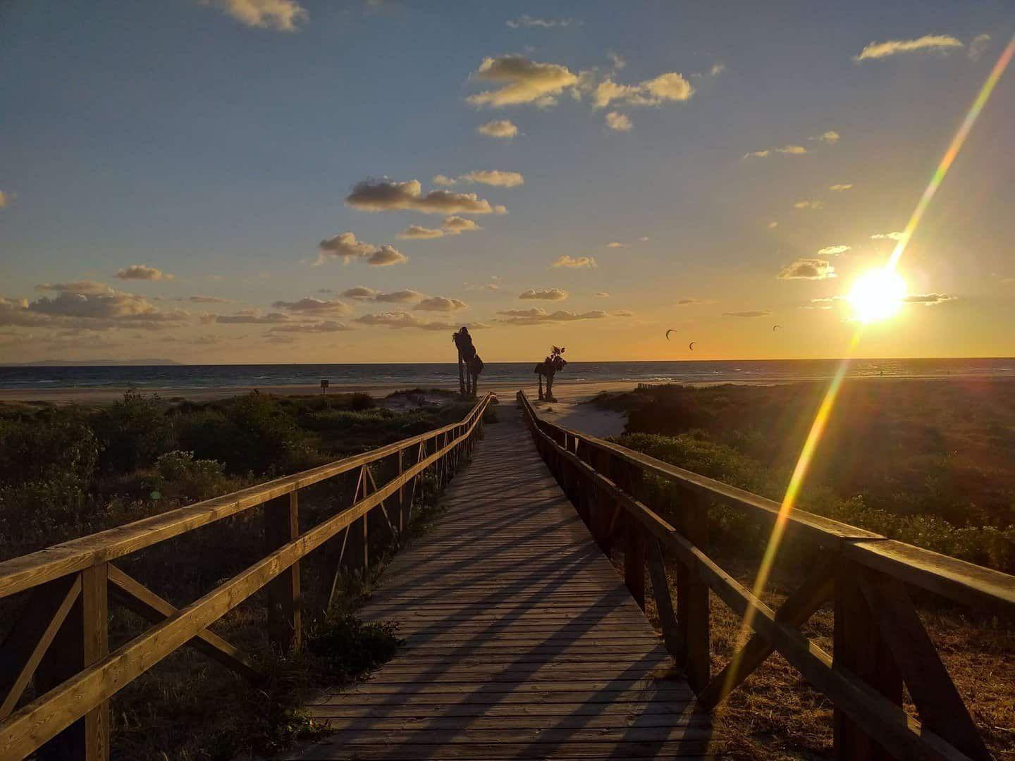 wooden walkway leading to the beach, ocen, palm trees, a few kites, setting sun and clouds