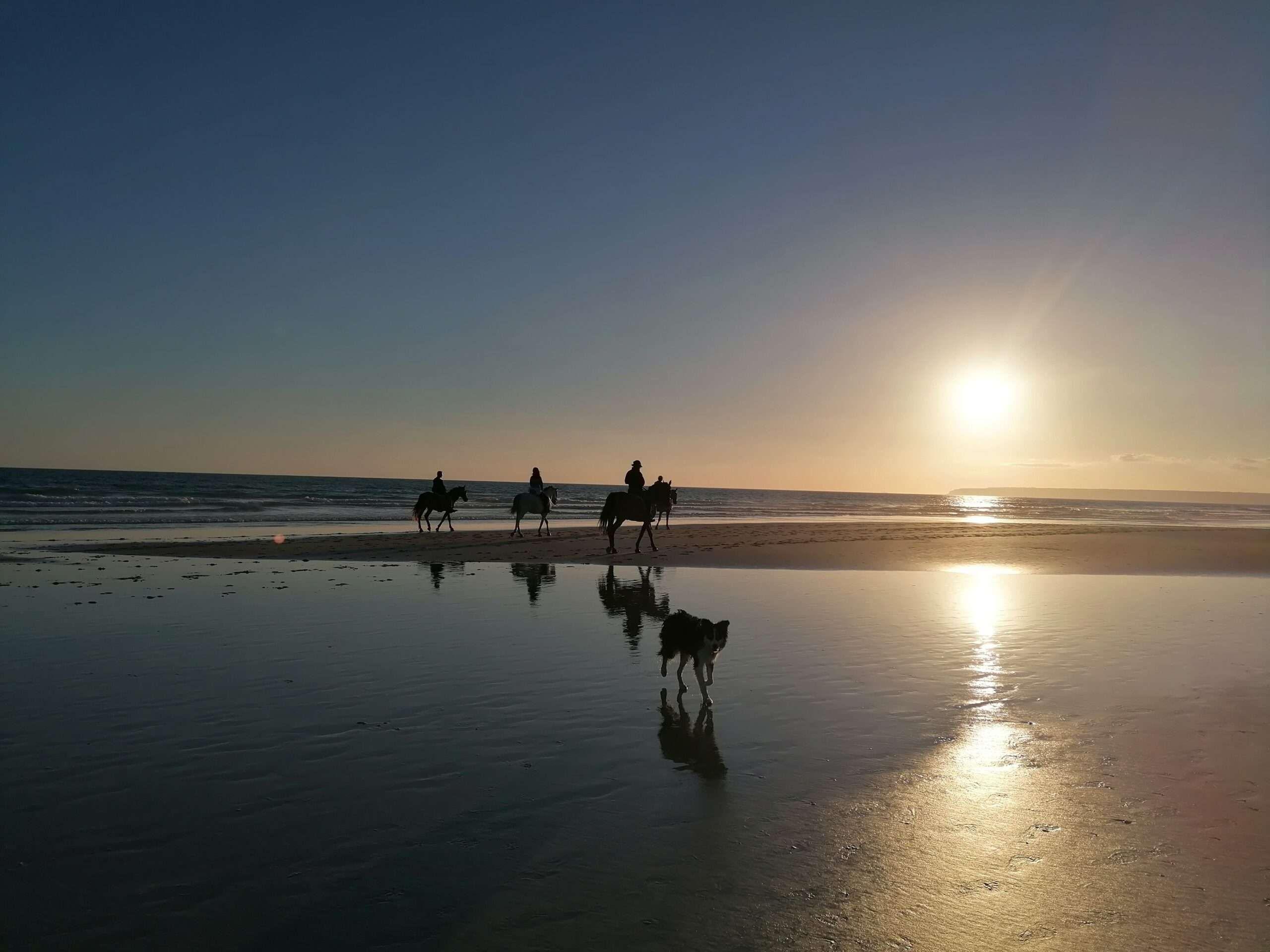 3 people riding horses on the beach and a dog