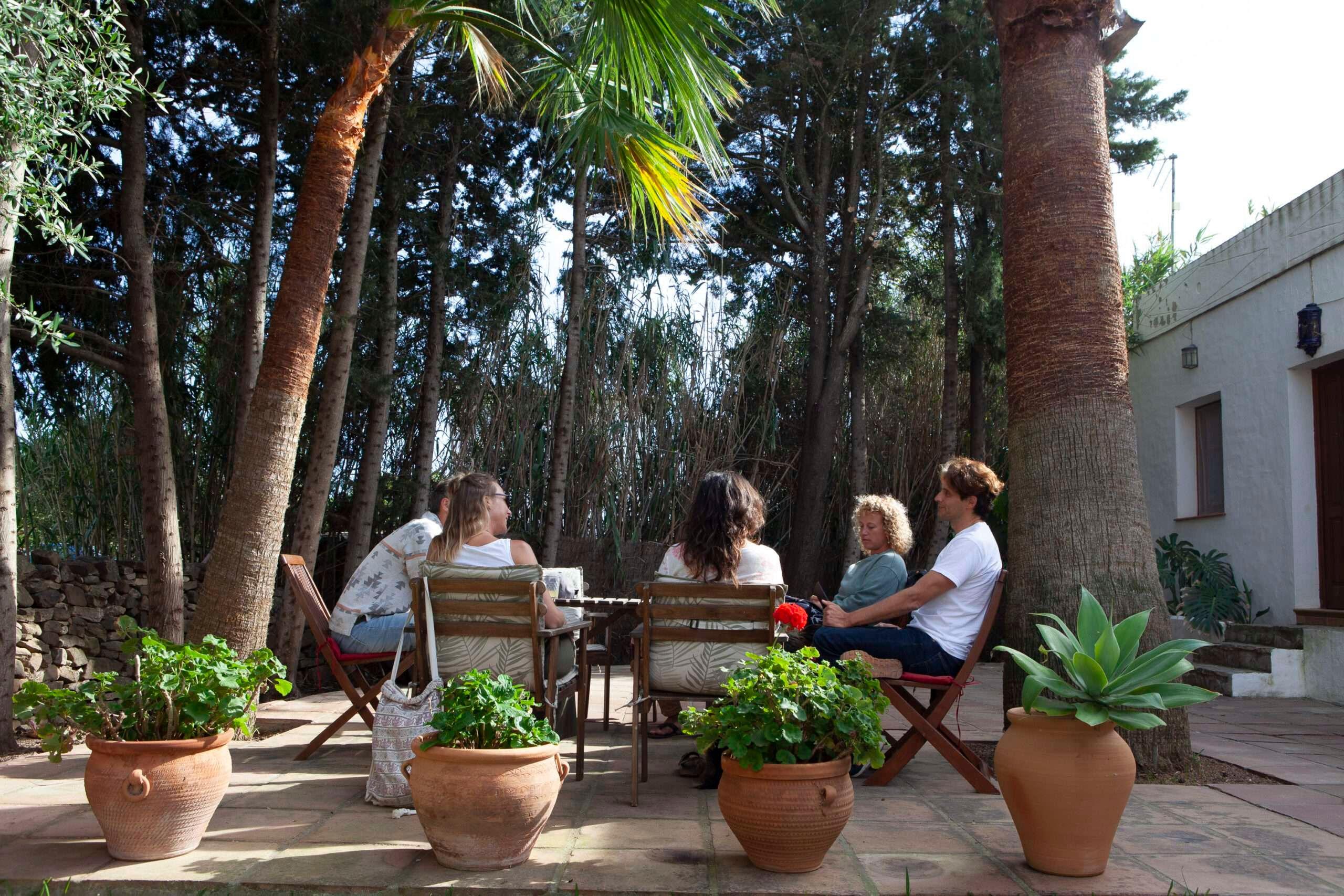 5 people sitting around a table talking on a sunny terrace surrounded by trees and pot plants