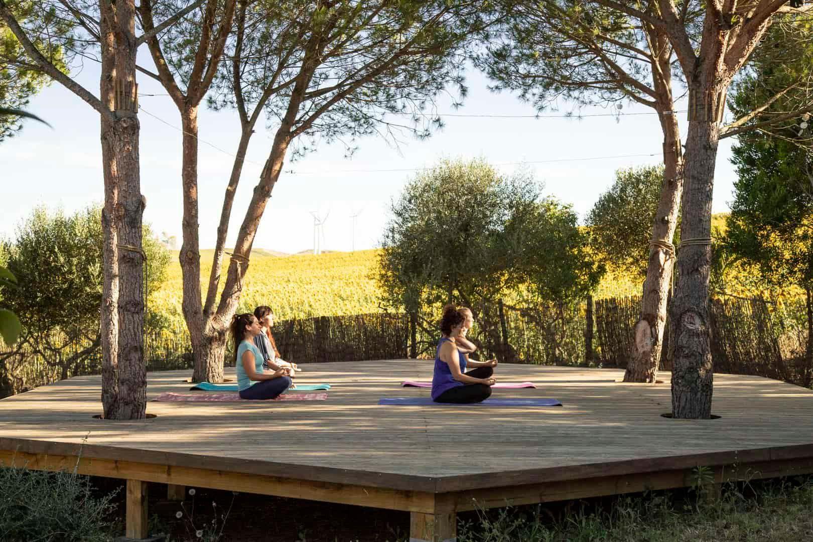 4 people meditating on a wooden deck between pine trees