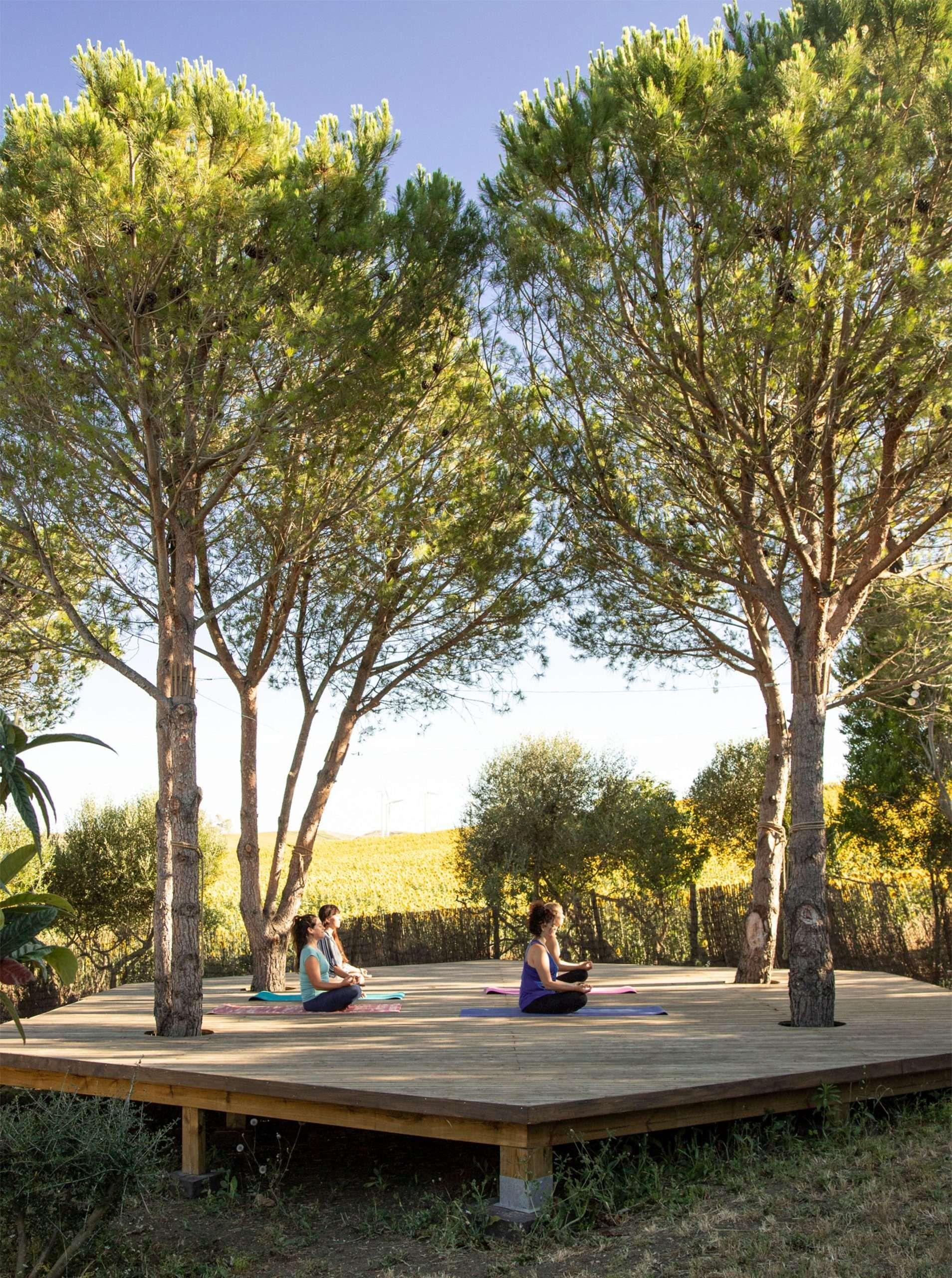 4 people meditating on a wooden deck between pines