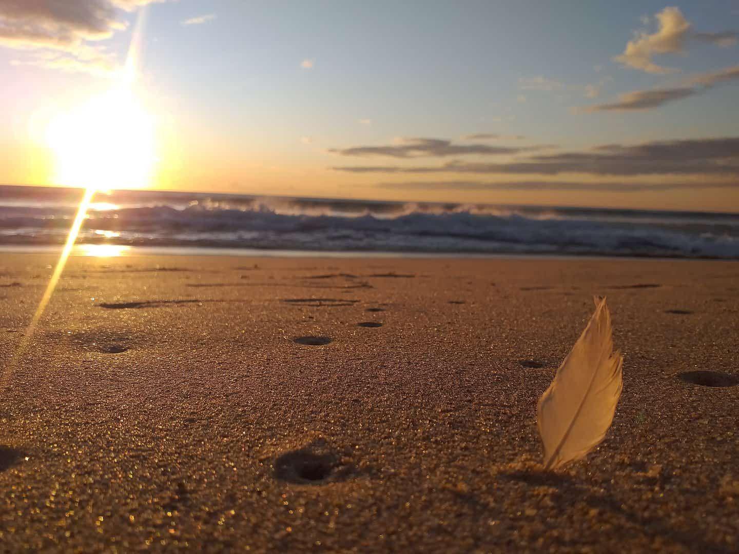 Beach scene on the Costa de la Luz