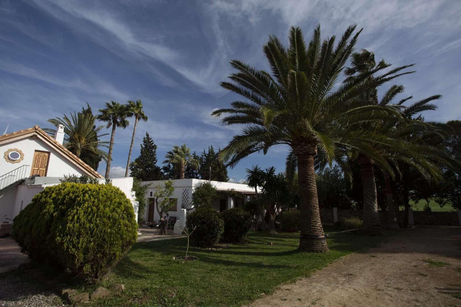 House with garden and palm trees
