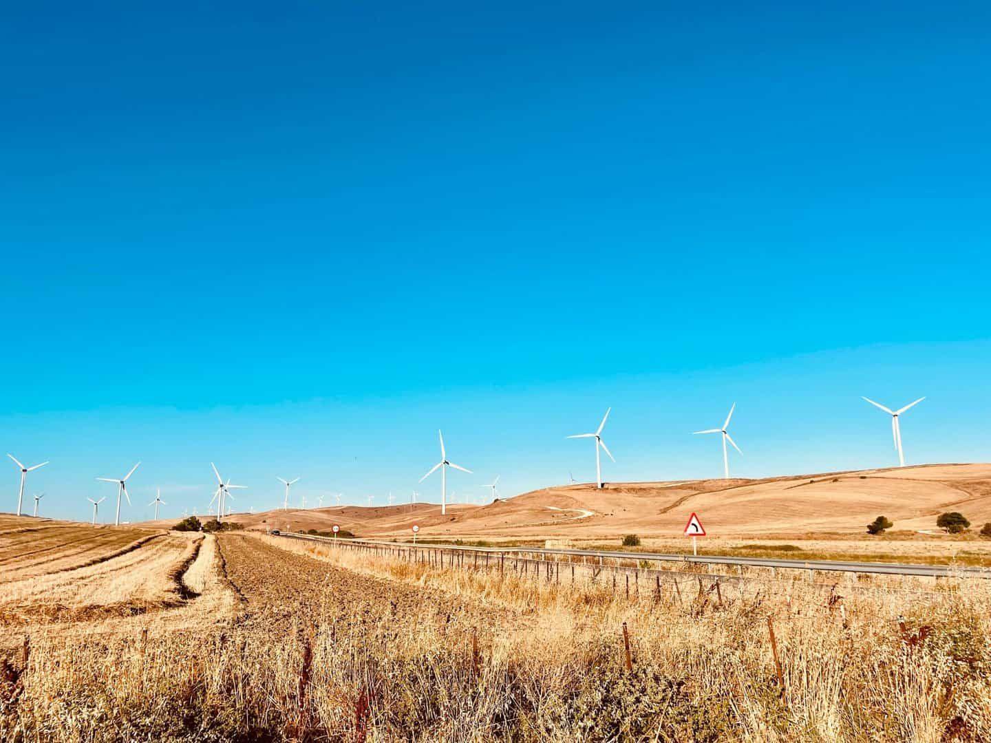 Windmills in the landscape near Finca la Palmera eco-living