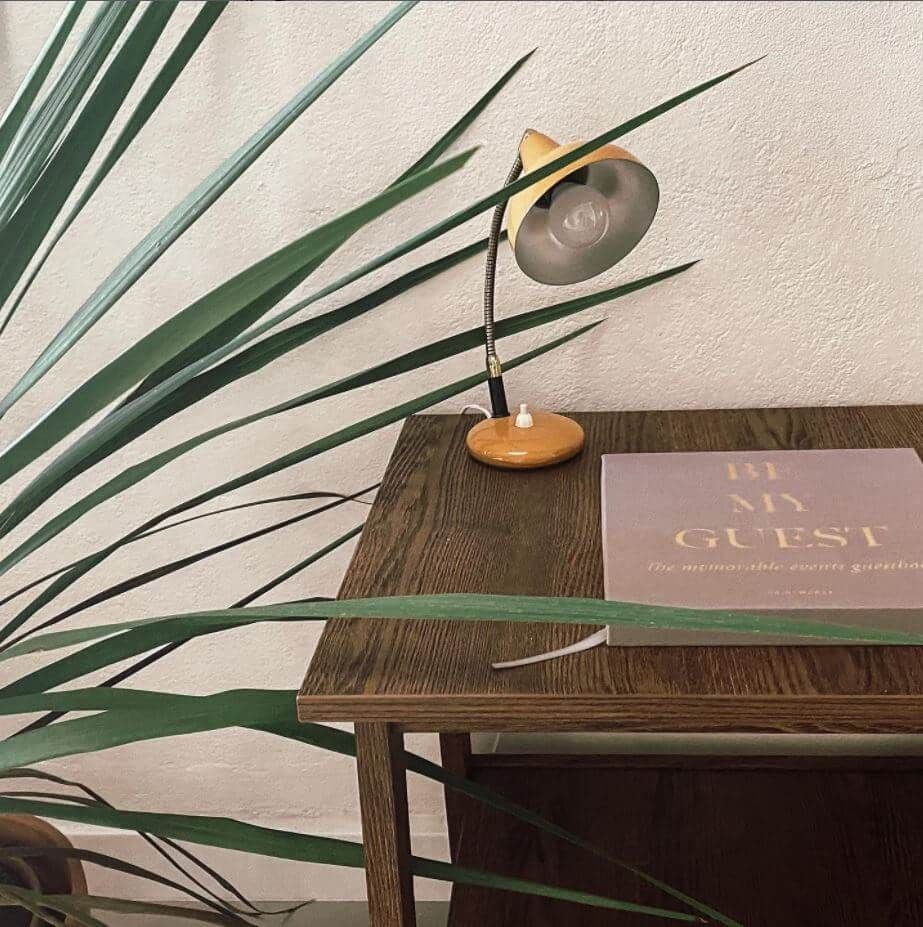 Wooden desk with a vintage lamp and a 'Be My Guest' book, with tropical plant leaves in the foreground