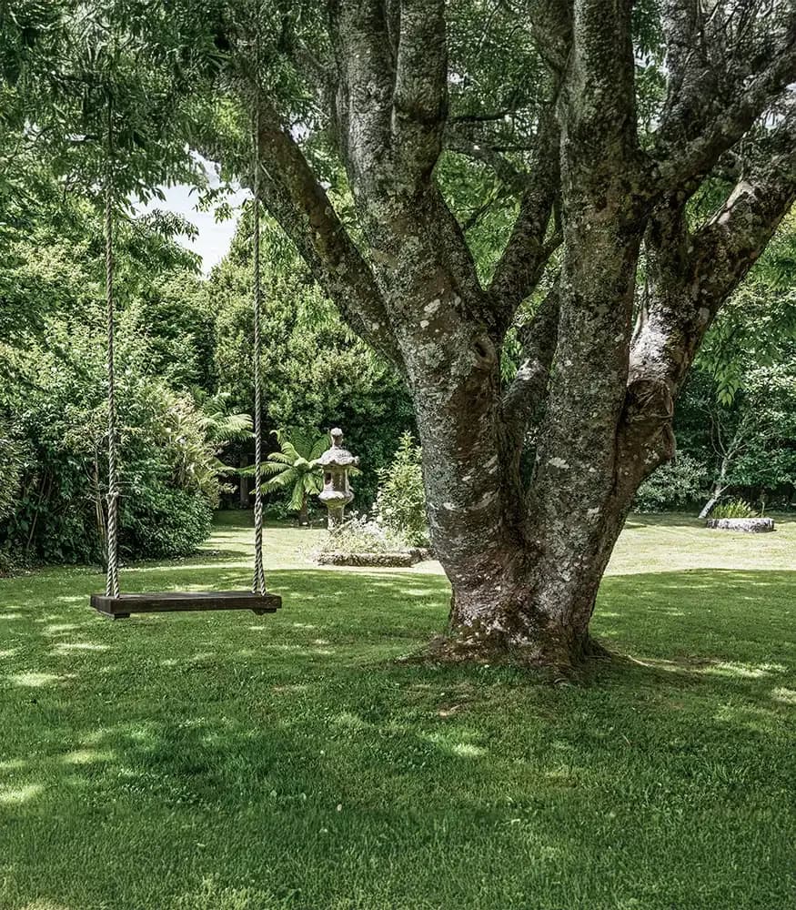 A rope swing hanging from a large tree in the lush garden at Froomies