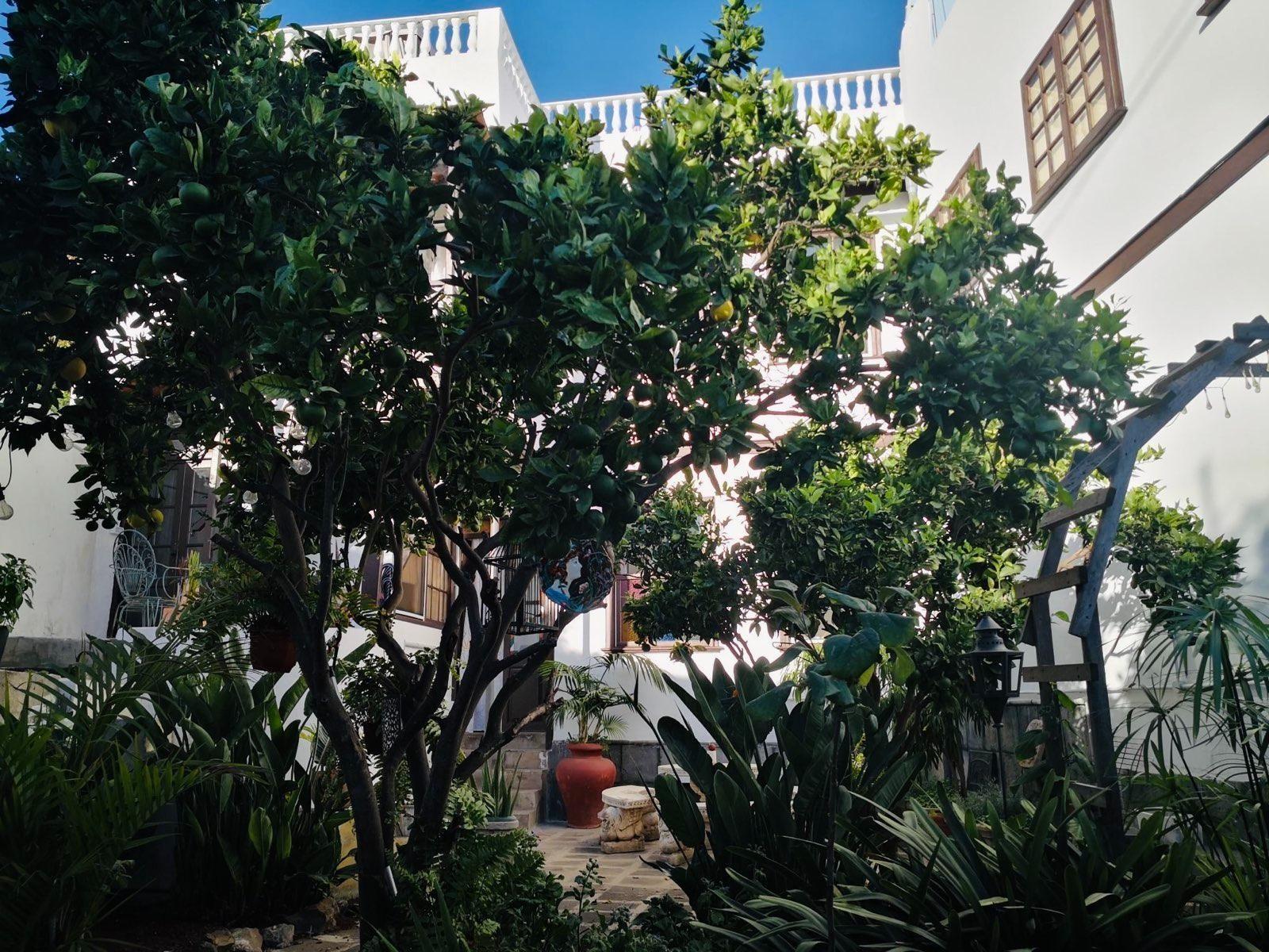 Gato Azul Garden