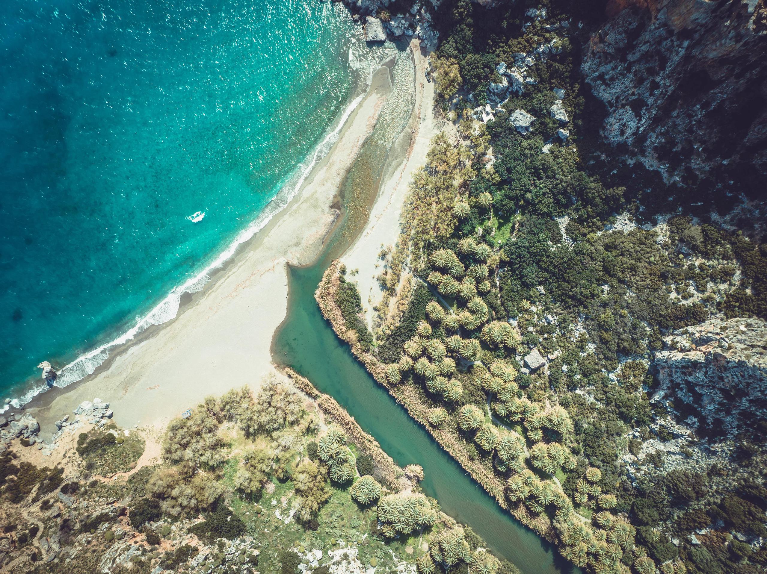 Preveli Palm Forest