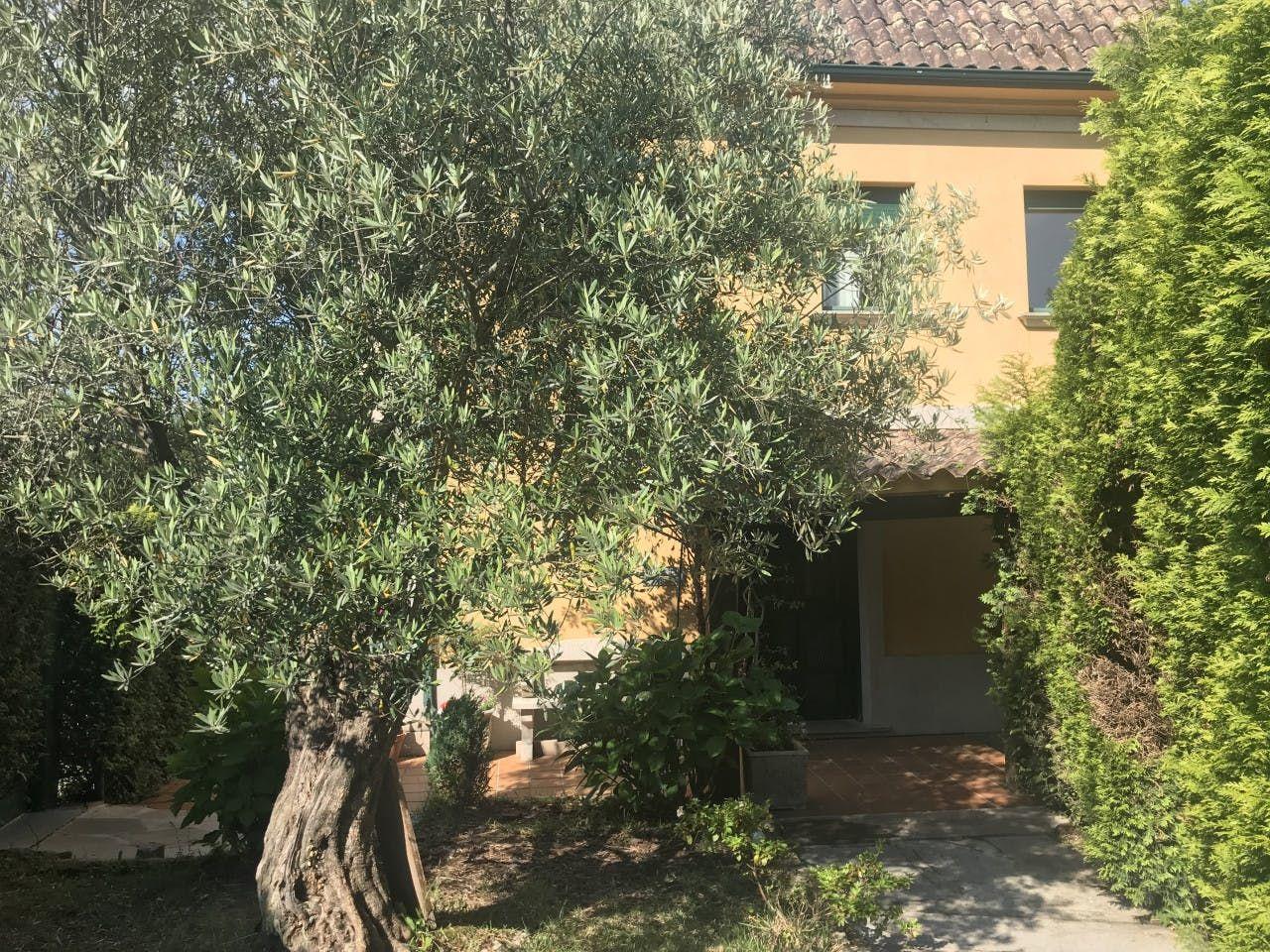 Exterior view of the coliving building (Casa Palacio de los Hidalgo de Linares) with a large olive tree in the foreground