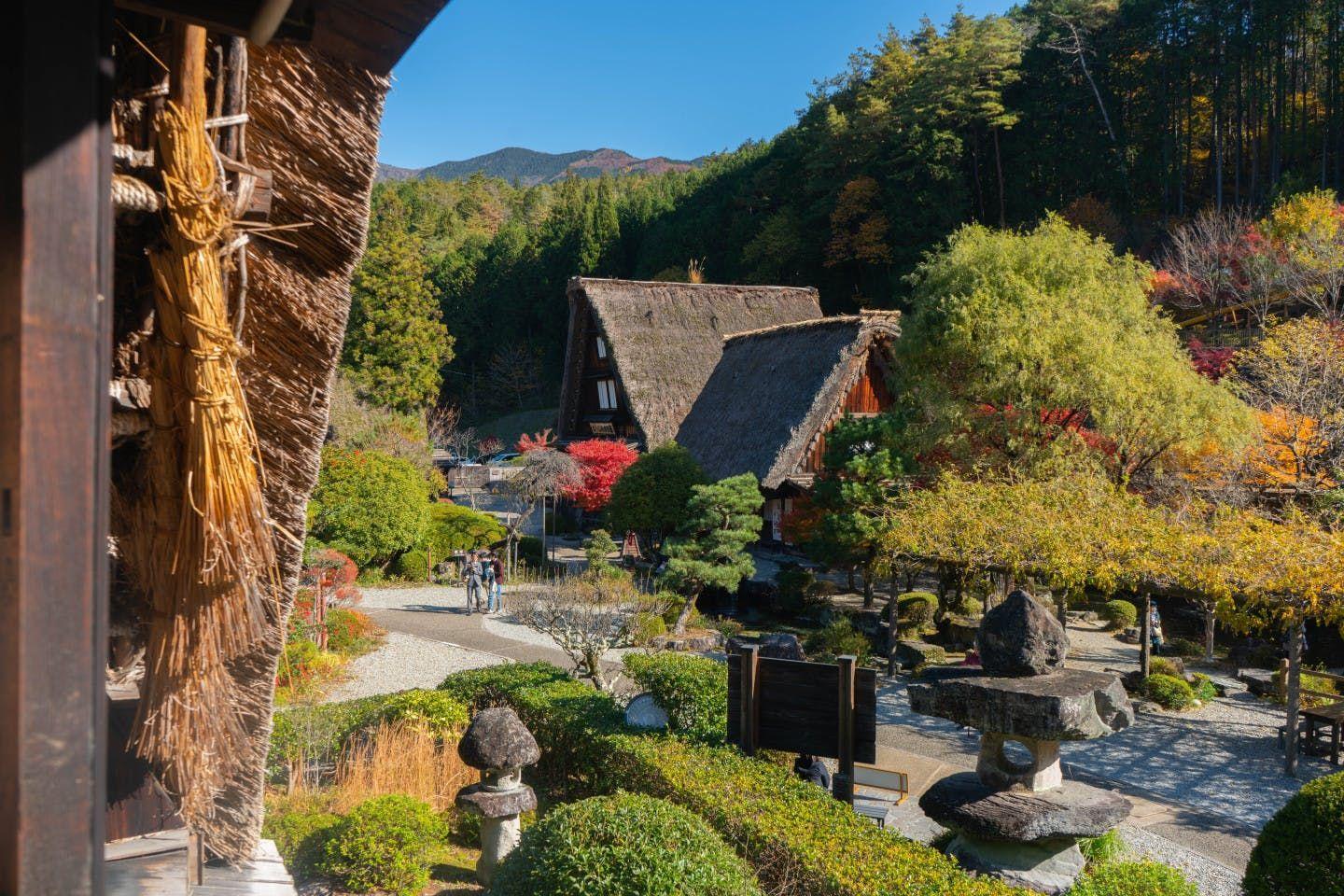 Traditional Japanese village with thatched-roof houses, manicured gardens and autumn foliage in the mountains