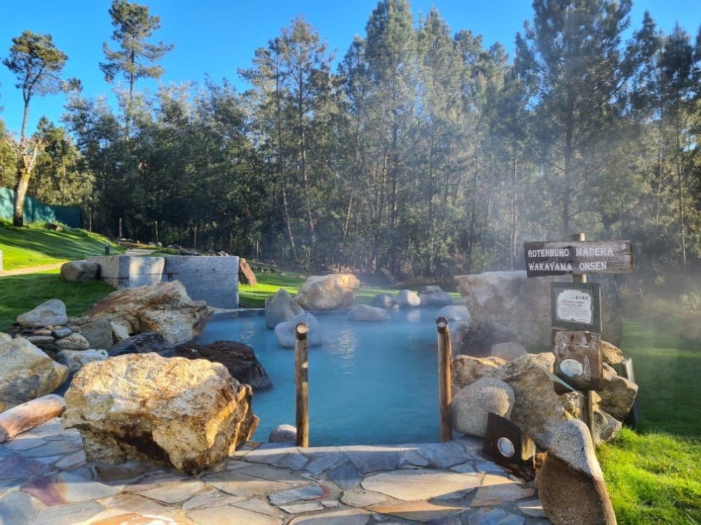 Outdoor Japanese-style hot springs (Rotenburo Madera Wakayama Onsen) with steaming water, rocks and pine trees