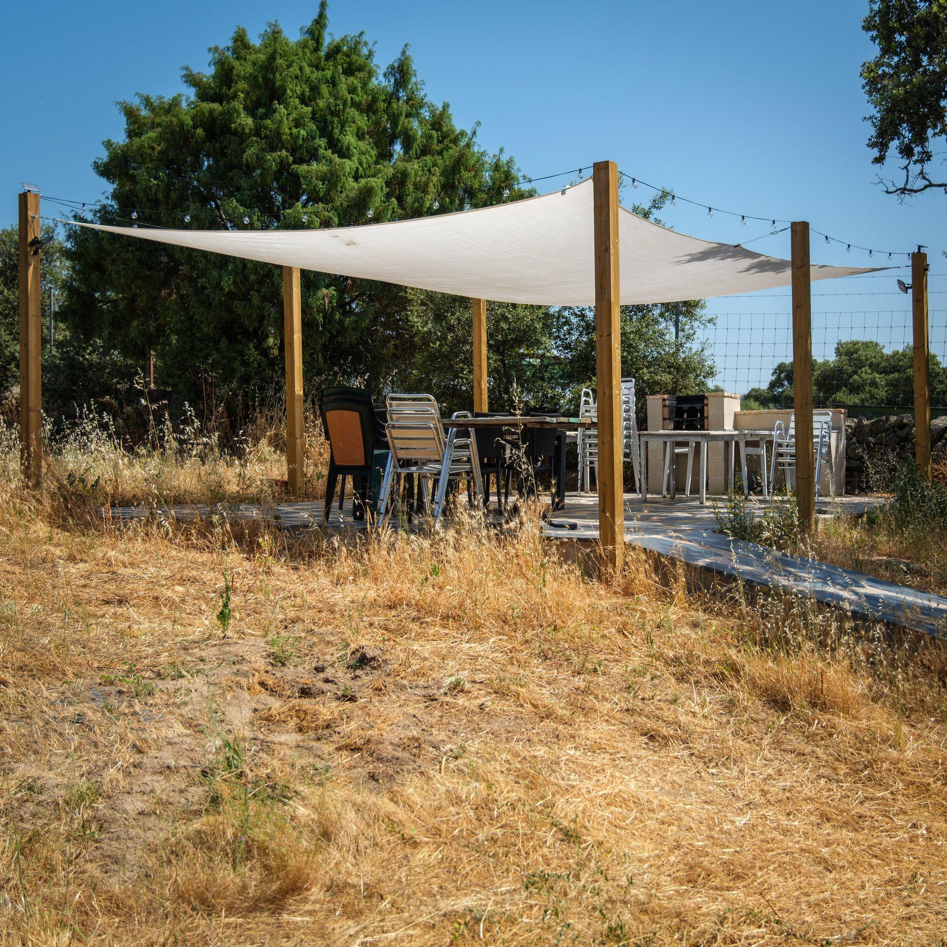 Outdoor space at Hamlet's Friends