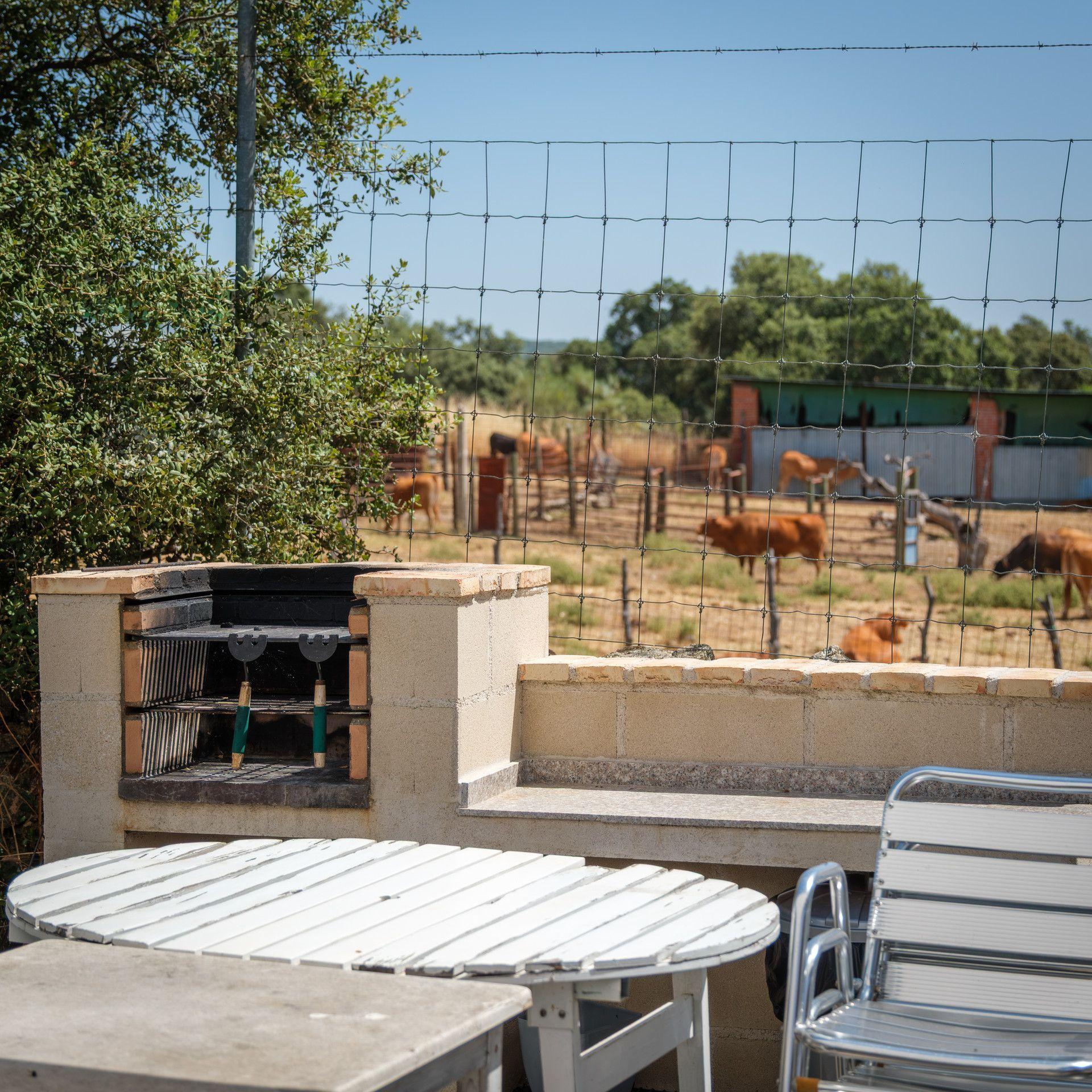 BBQ area at Hamlet's Friends