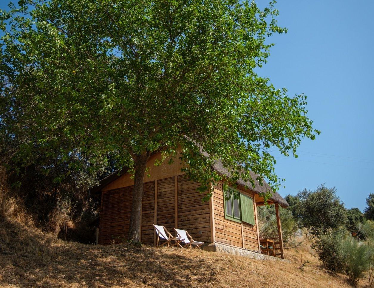 Wooden cabins nestled among oak trees at Hamlet's Friends