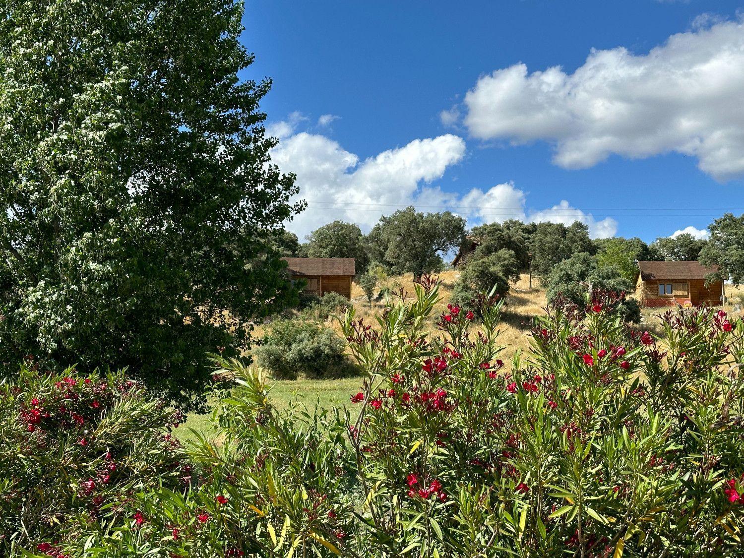 Panoramic view of the coliving cabins at Hamlet's Friends