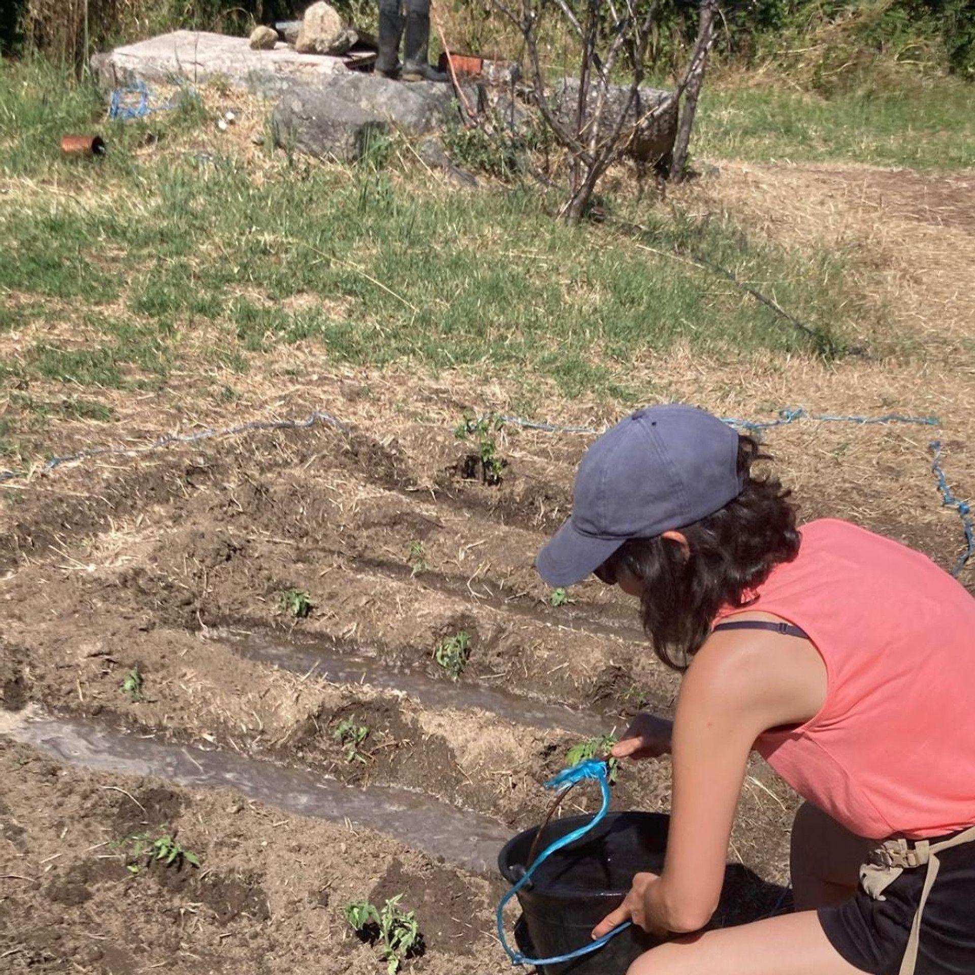 Community event - gardening at Hamlet's Friends