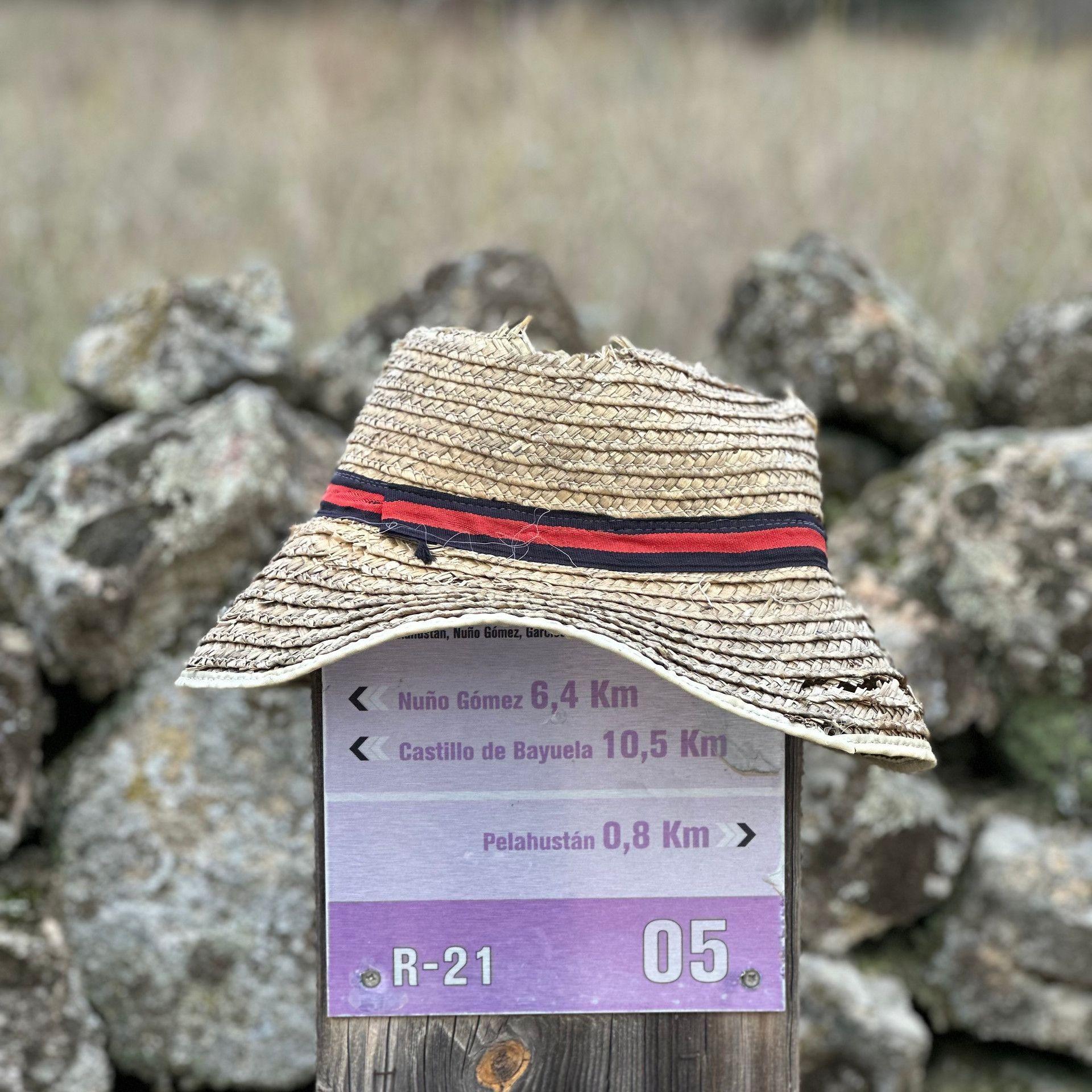 Activities and adventures at Hamlet's Friends