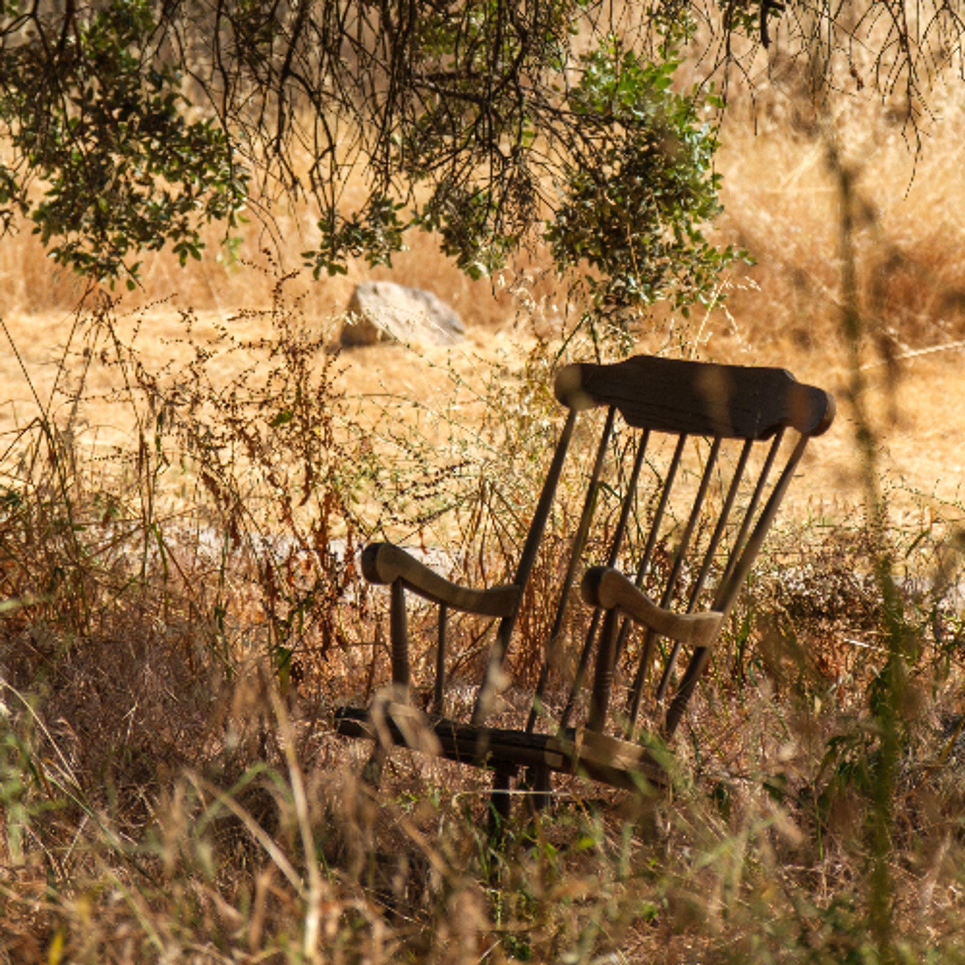 Relaxing in nature at Hamlet's Friends