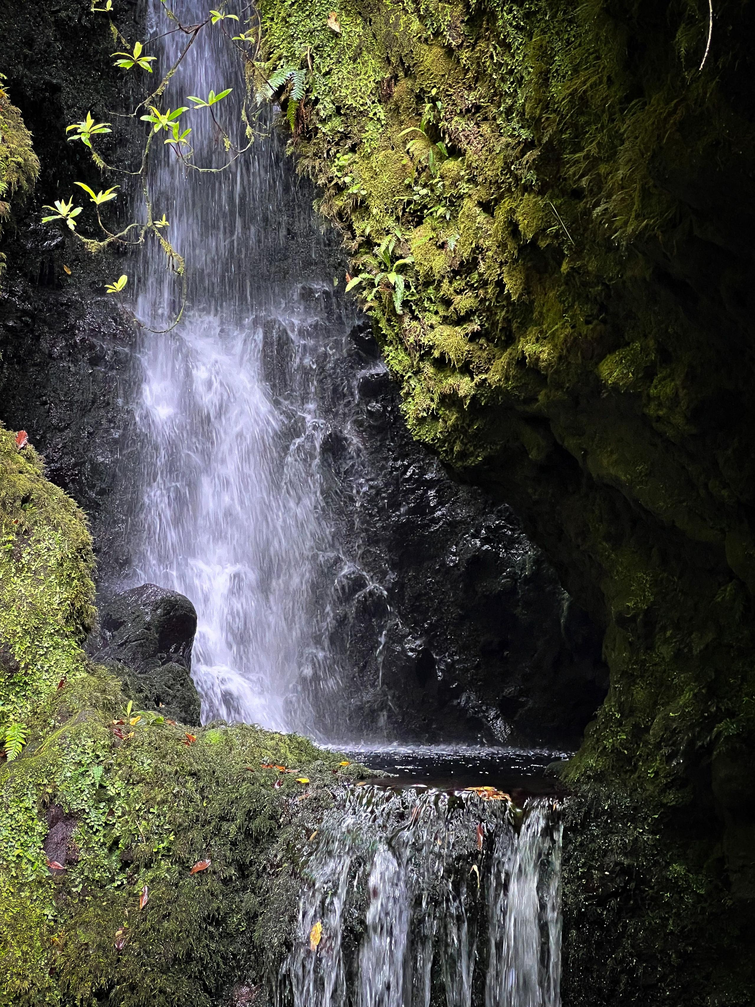 A close up of a waterfall on the Poço das Pulgas hike, with water cascading down mossy rocks