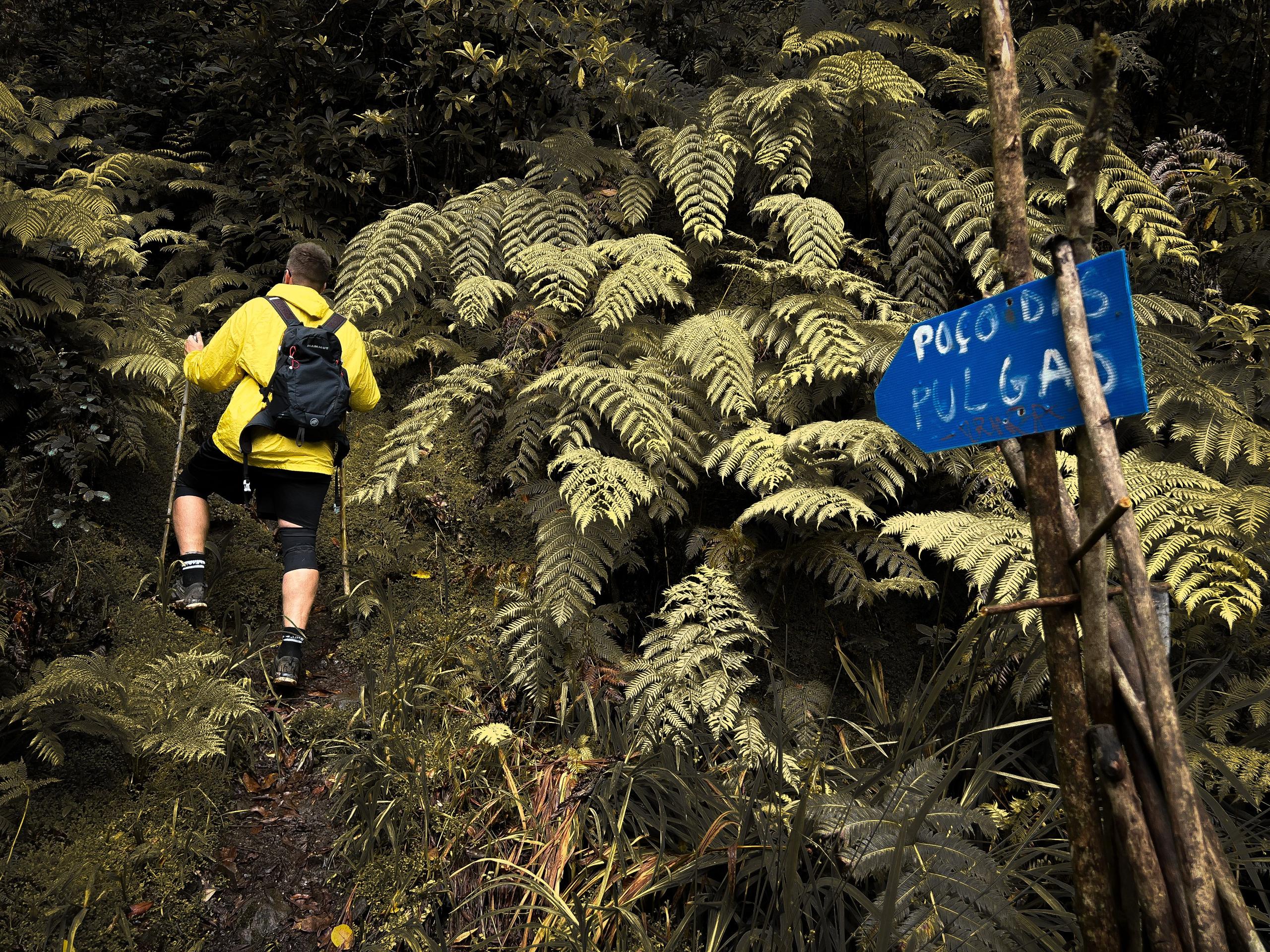 Aerial view of the cascading Poço das Pulgas waterfall in the Madeira jungle