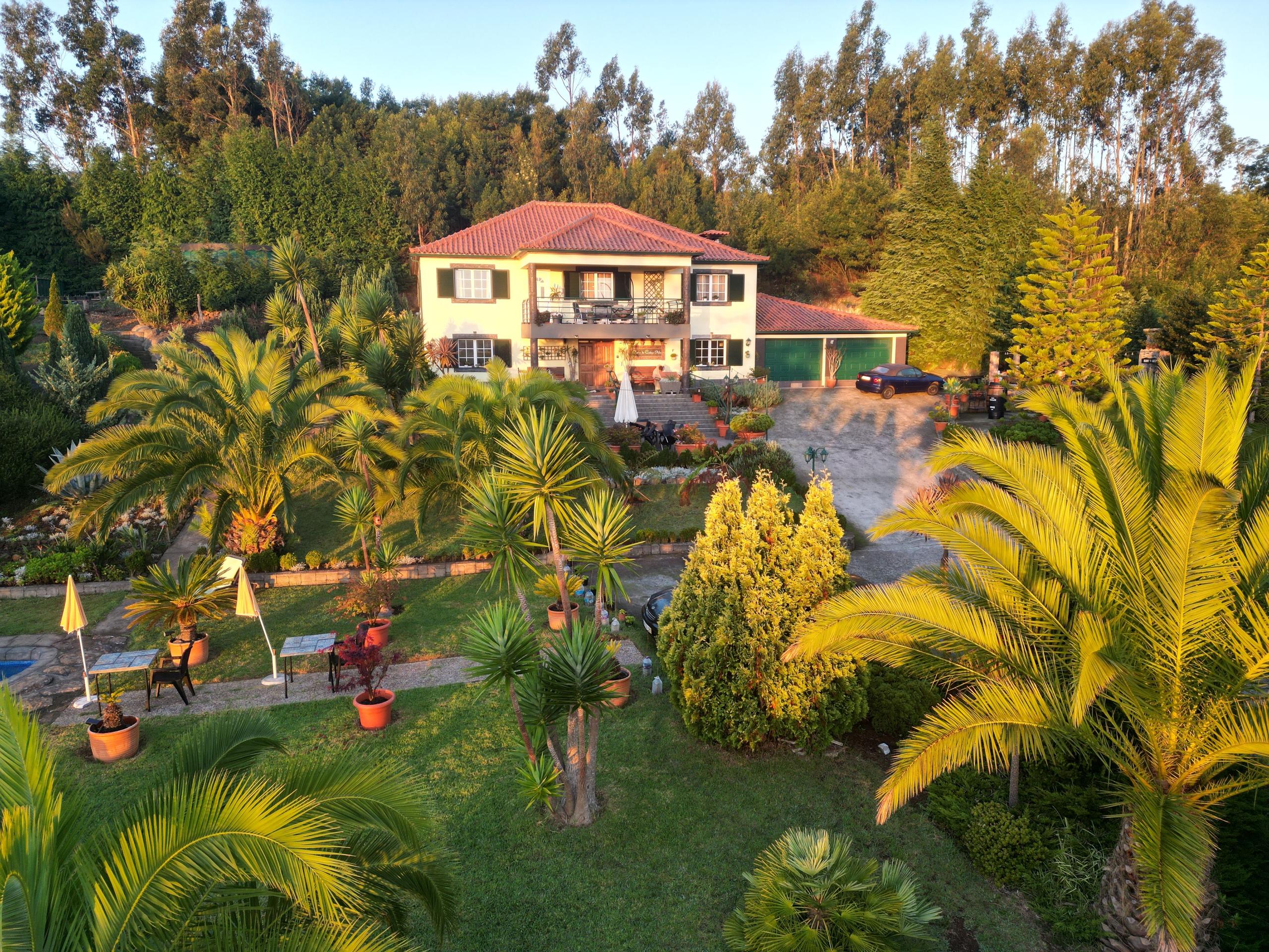Aerial drone photo of the Homeoffice Madeira villa and its large palm garden at golden hour