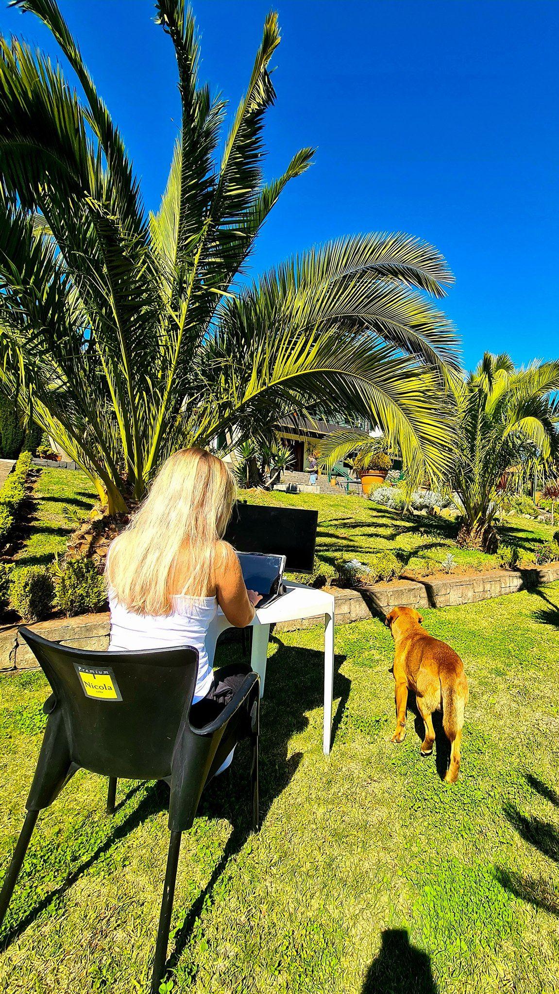 Guest working on a laptop outdoors in the palm garden with a dog nearby