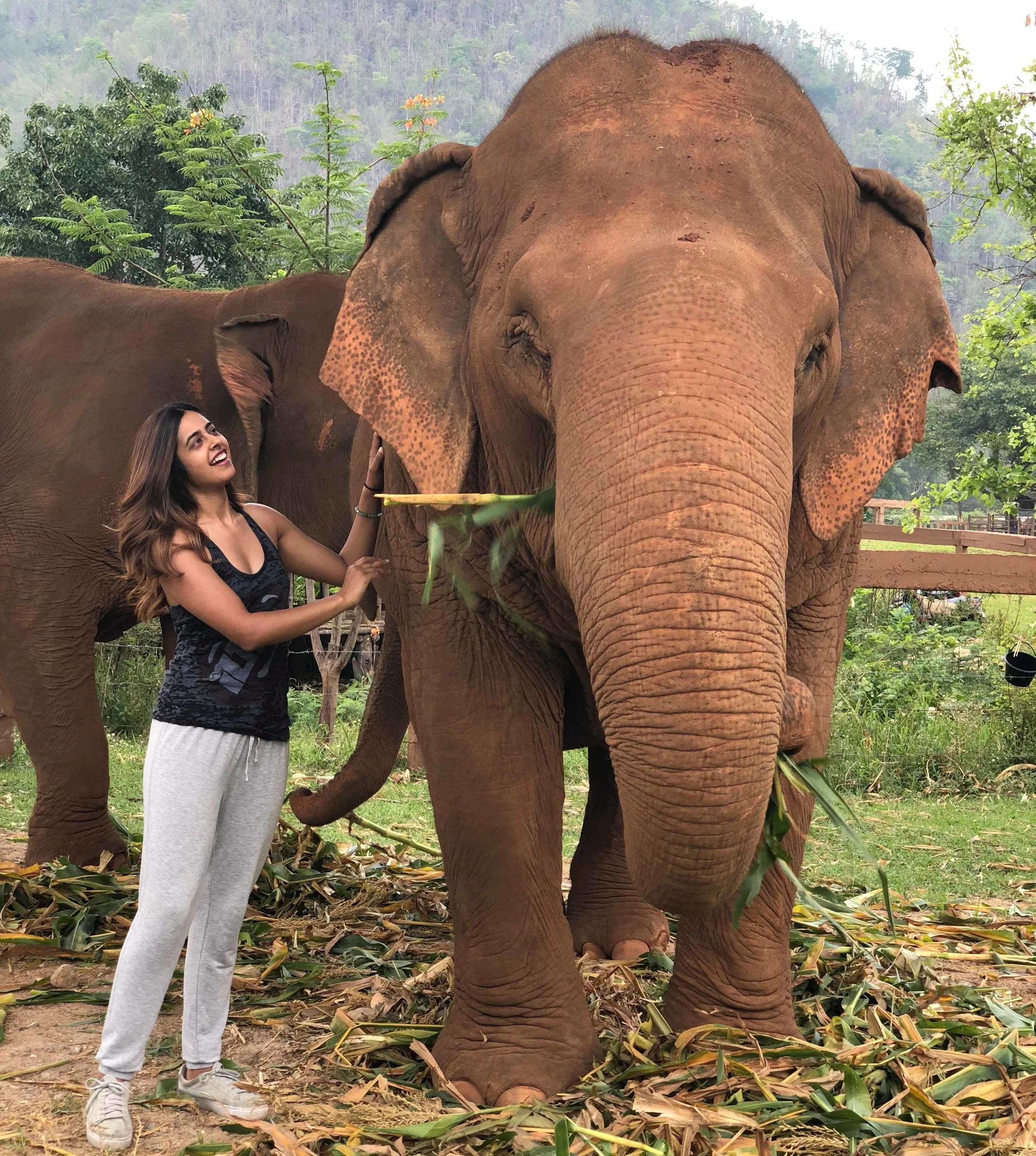 Chiang Mai local sights and activities