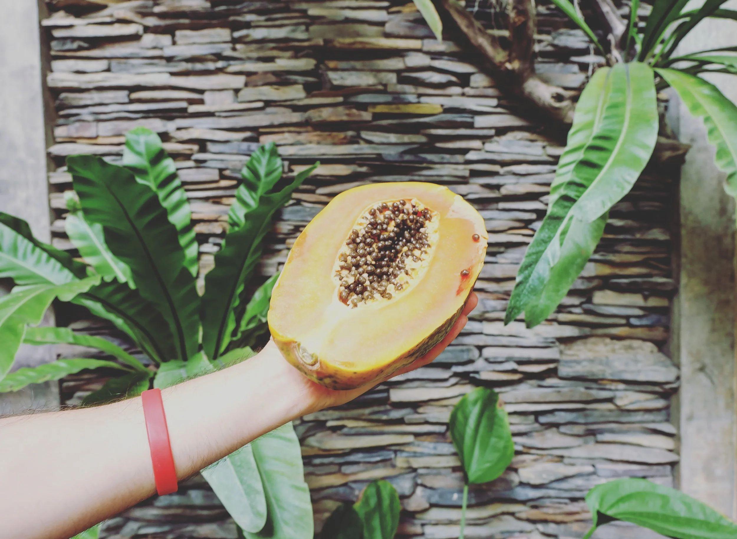 Hand holding a halved papaya with tropical plants and stone wall in the background