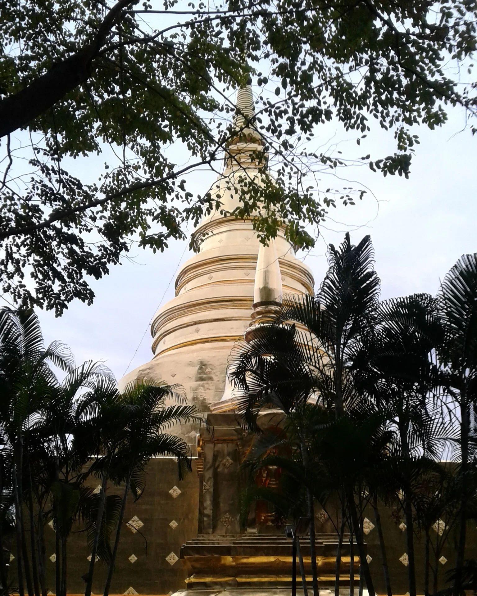 Buddhist temple stupa surrounded by palm trees and tropical foliage in Chiang Mai