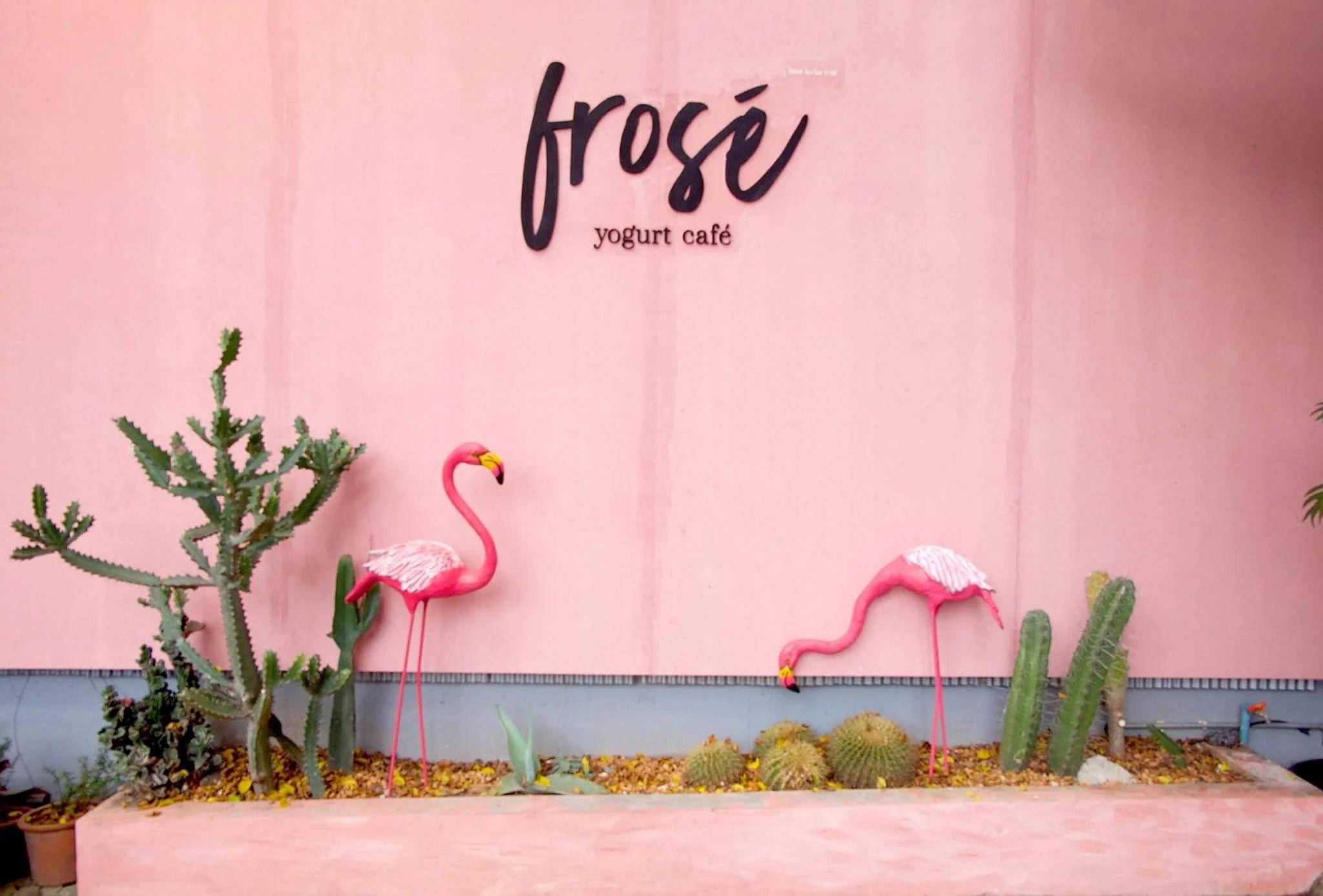 Frosé yogurt café exterior with pink wall, flamingo decorations and cacti — a local café near Hub53