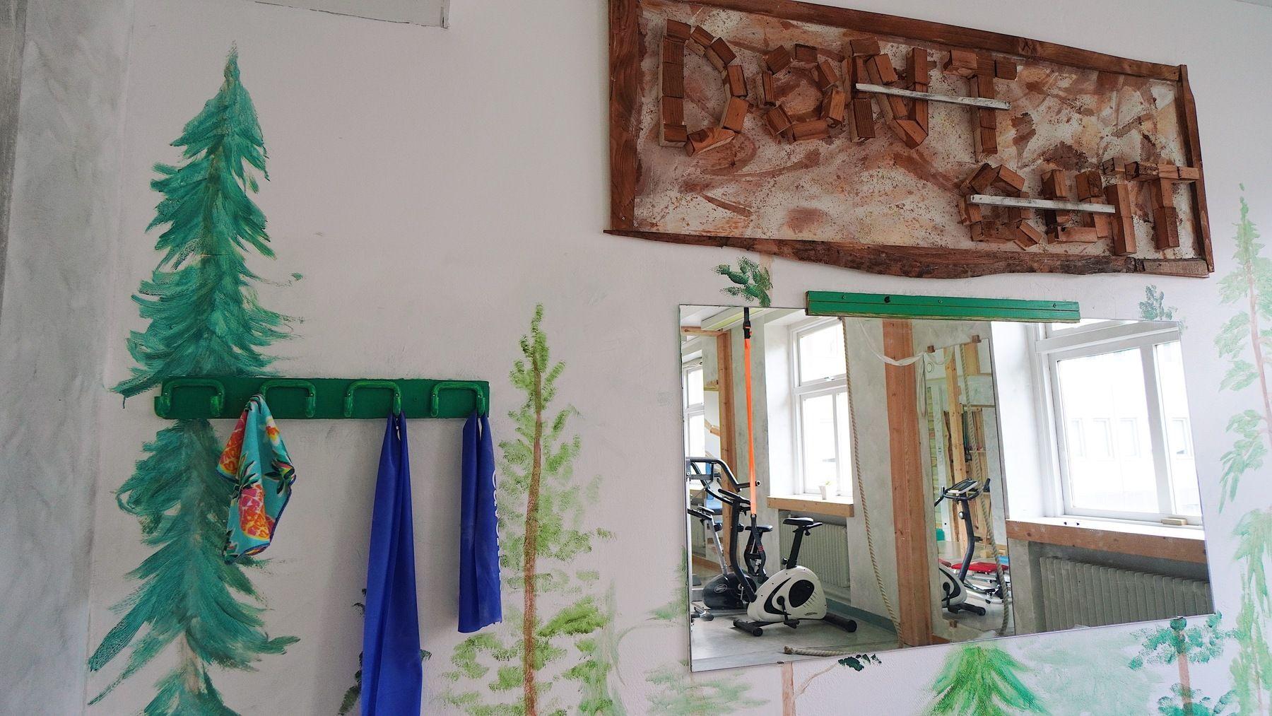 Gym with stationary bikes, TRX straps and kettlebells at Hub Feenix