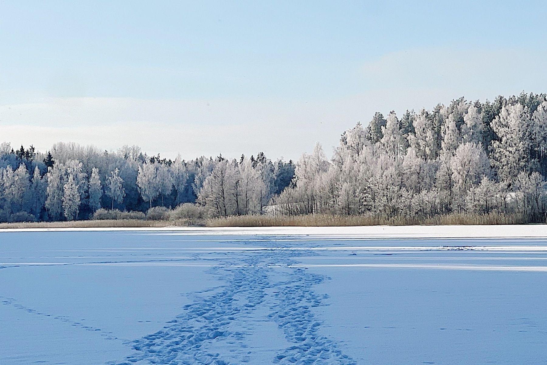 Winter nature scenery near Hub Feenix