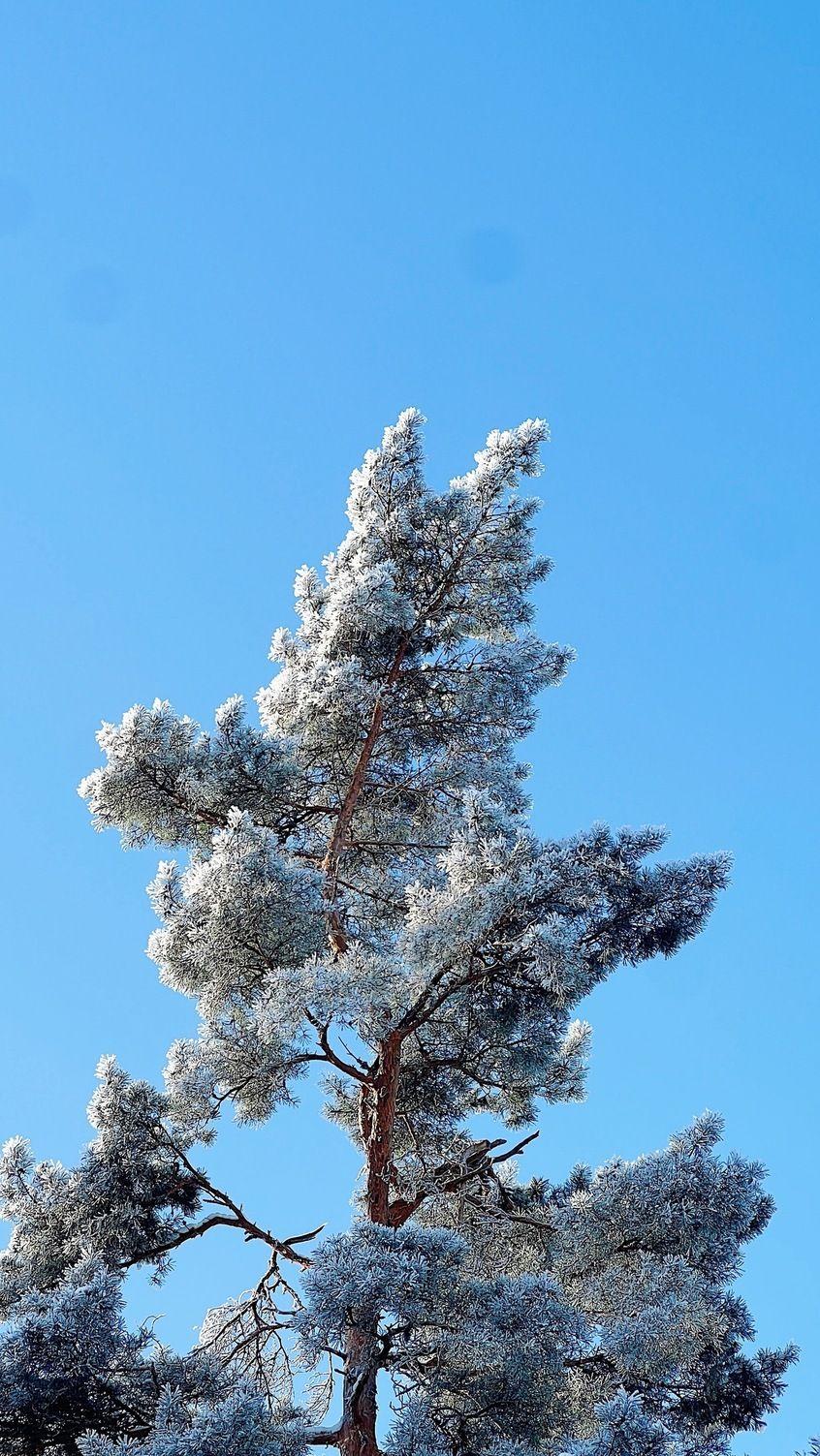 Winter nature scenery near Hub Feenix