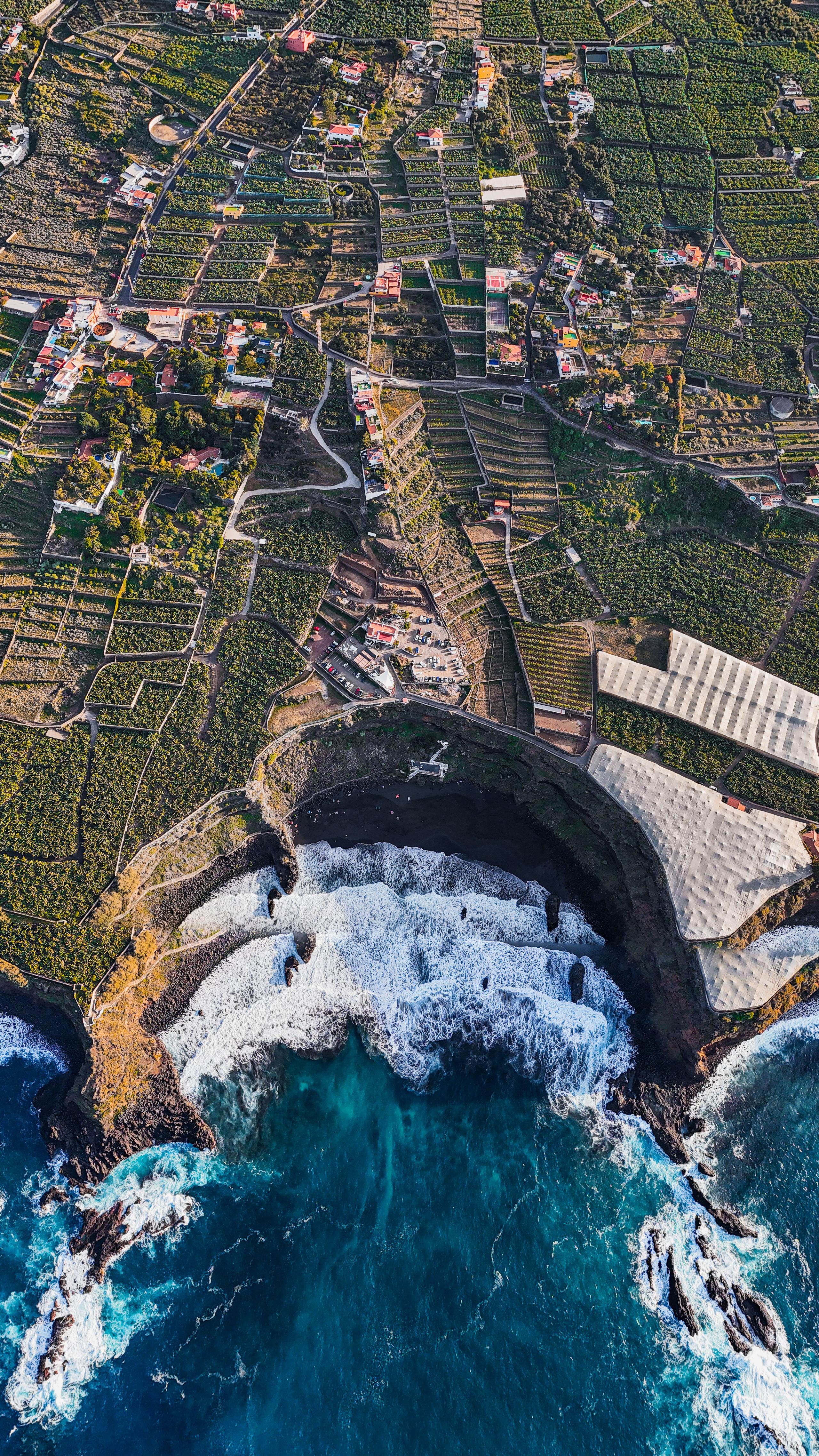Aerial view of the Tenerife coastline with banana plantations and ocean