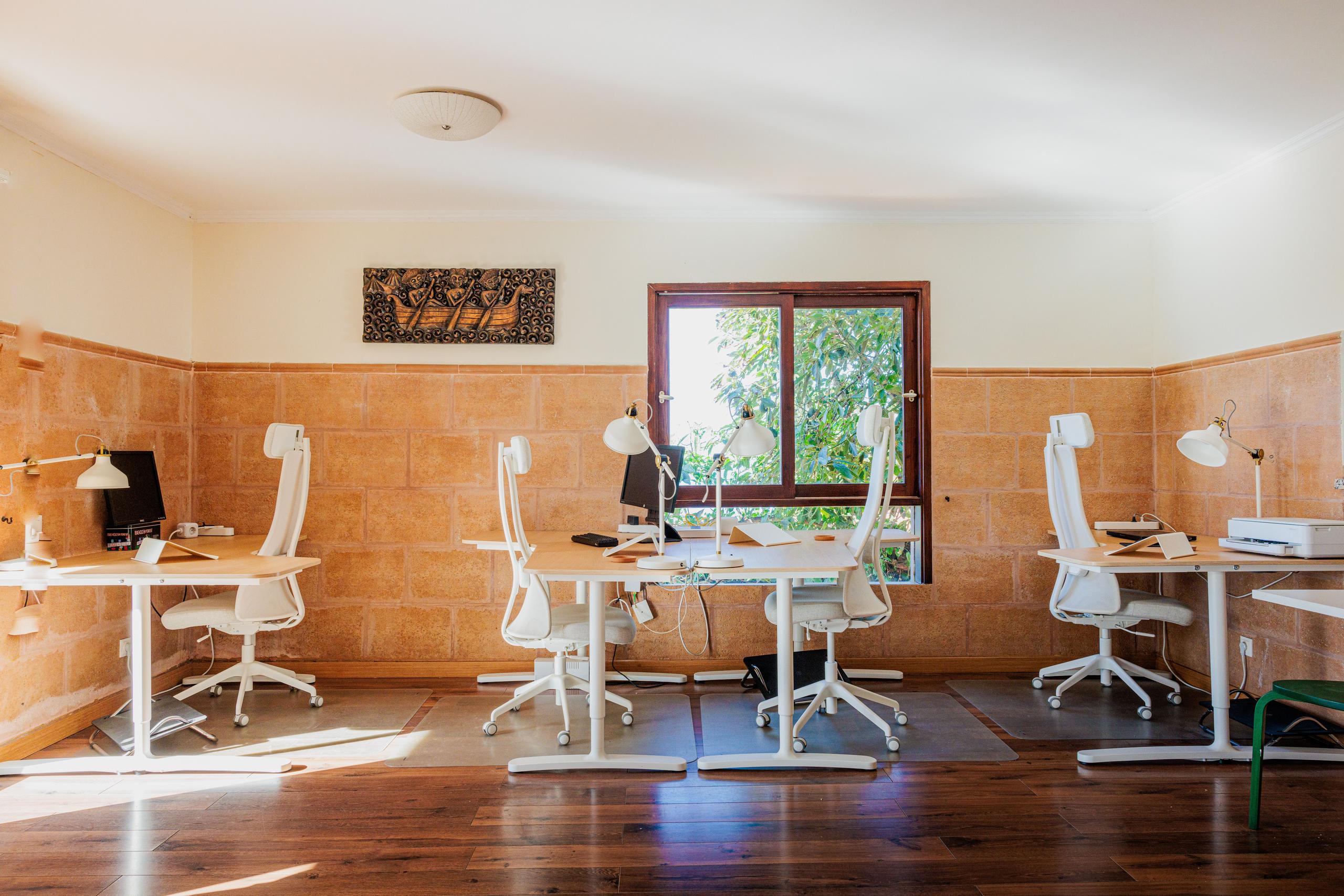 Shared coworking area with multiple white ergonomic desks and chairs, wooden floor, and a window overlooking the garden