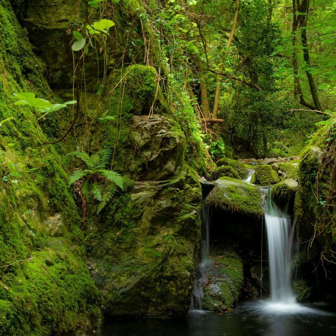 Nature trails in the Montseny Valley