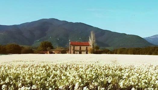 Kalart Property Exterior View