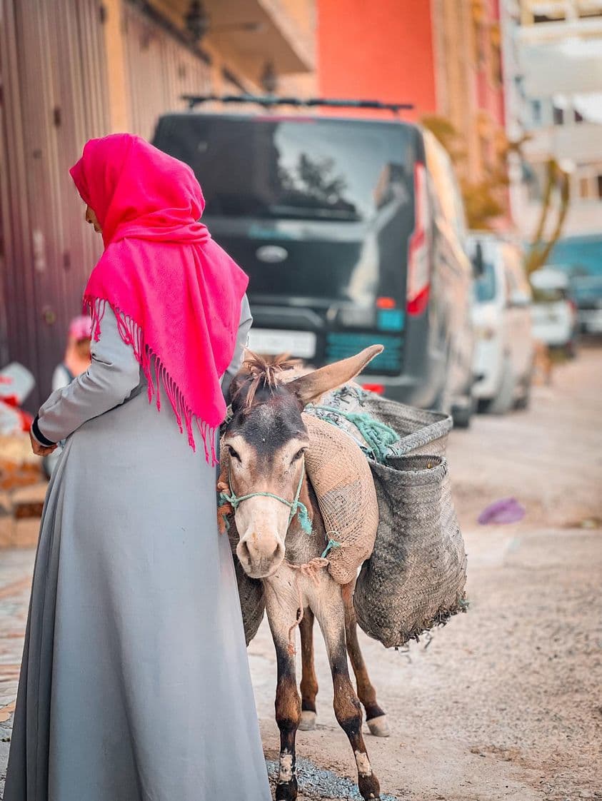 View of Tamraght village