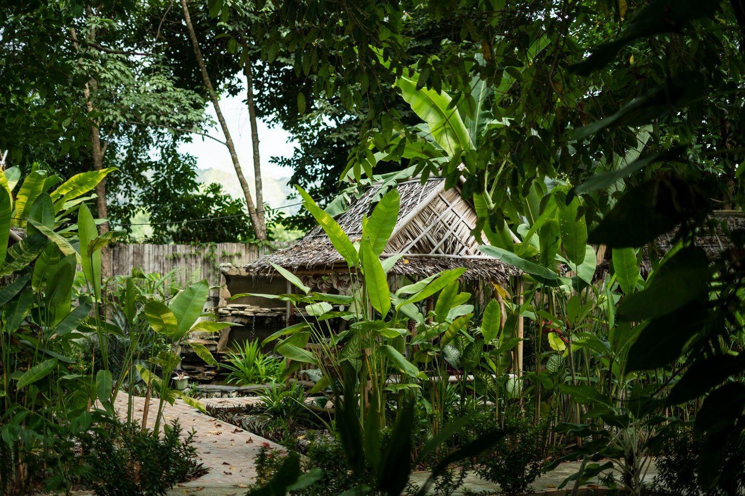 Lush tropical garden with walking path leading to a bamboo hut structure
