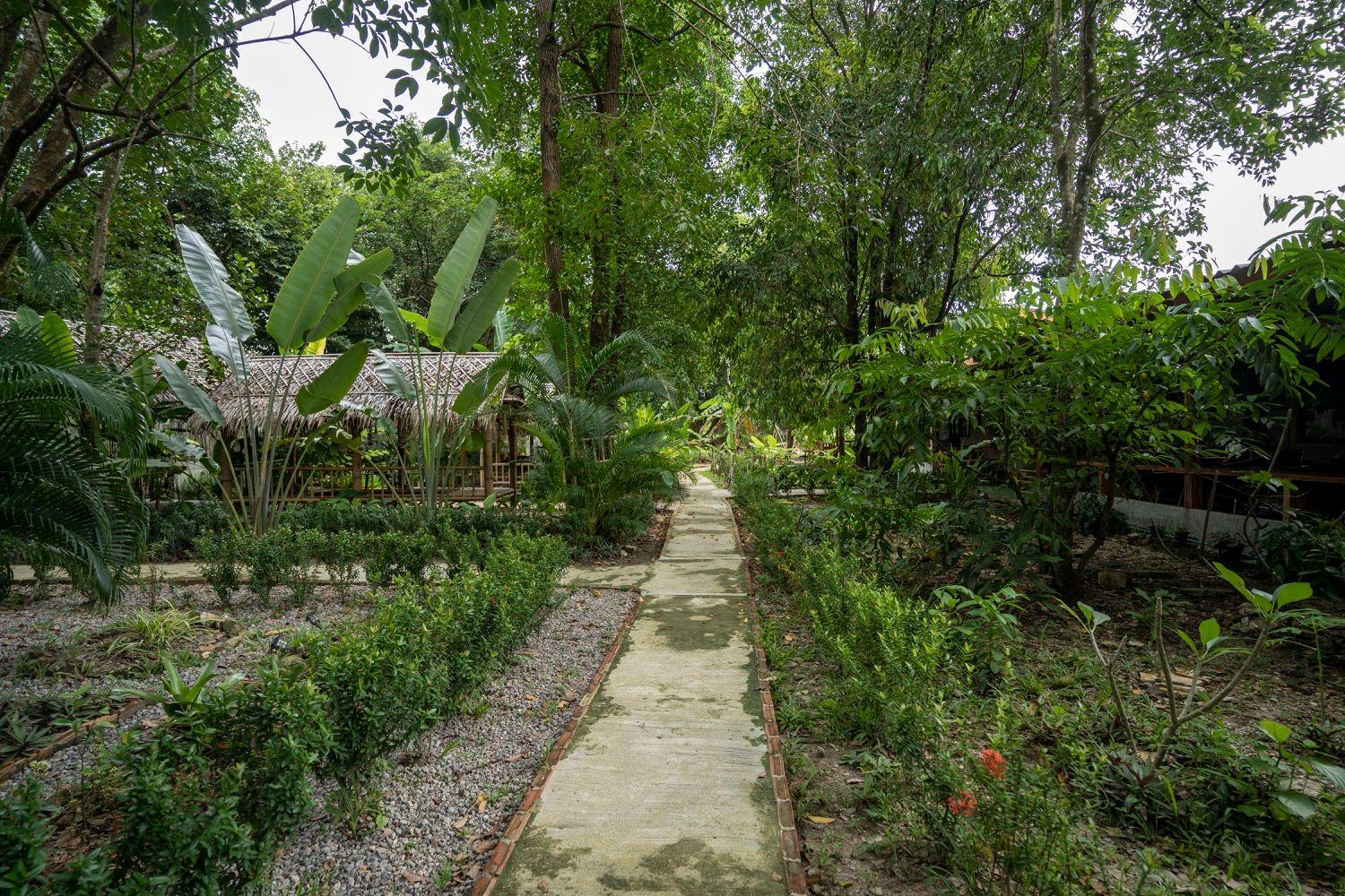 Landscaped tropical garden with a stone walking path and bamboo hut in the background
