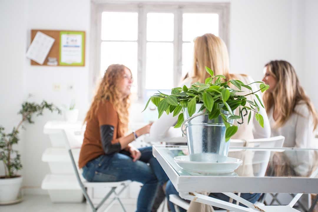 Kitchen La Cocotera 2