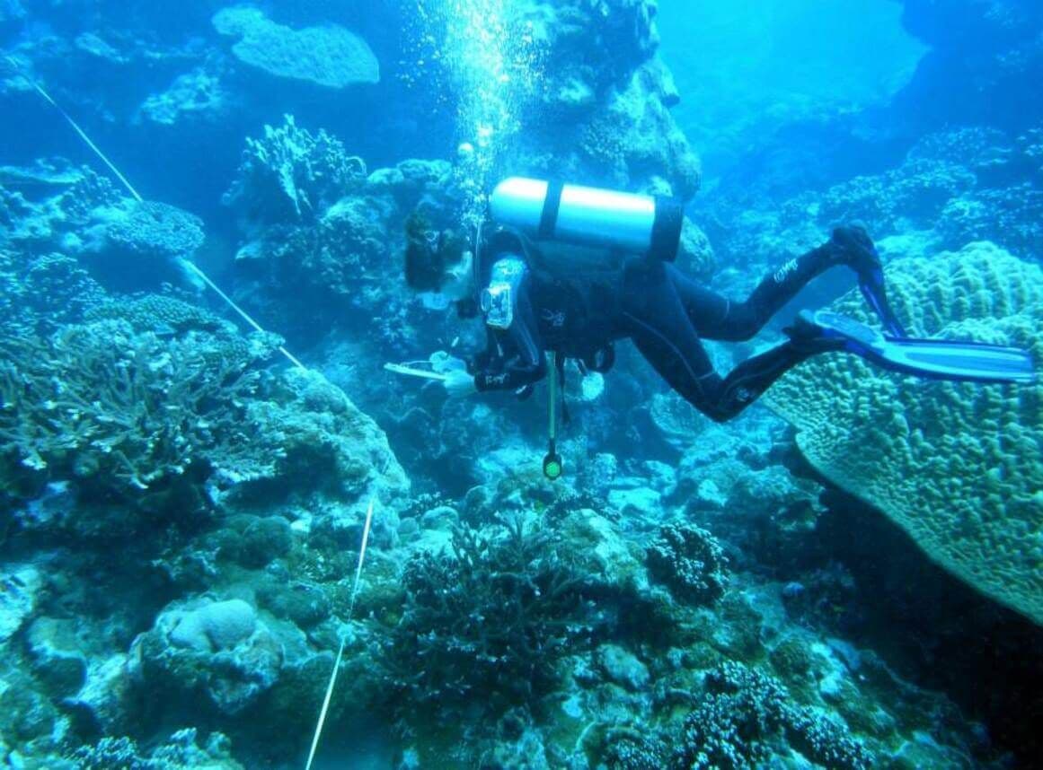 diving in AMERICAN SAMOA