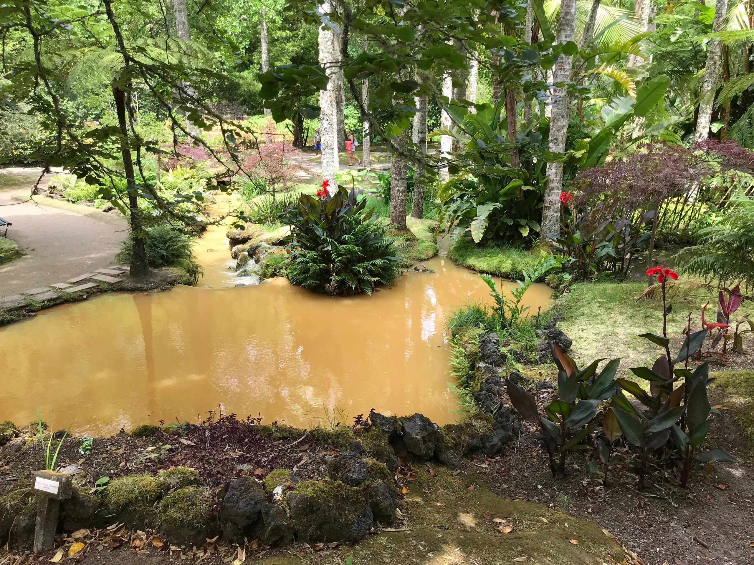 Hot Spring in Sao Miguel Azores