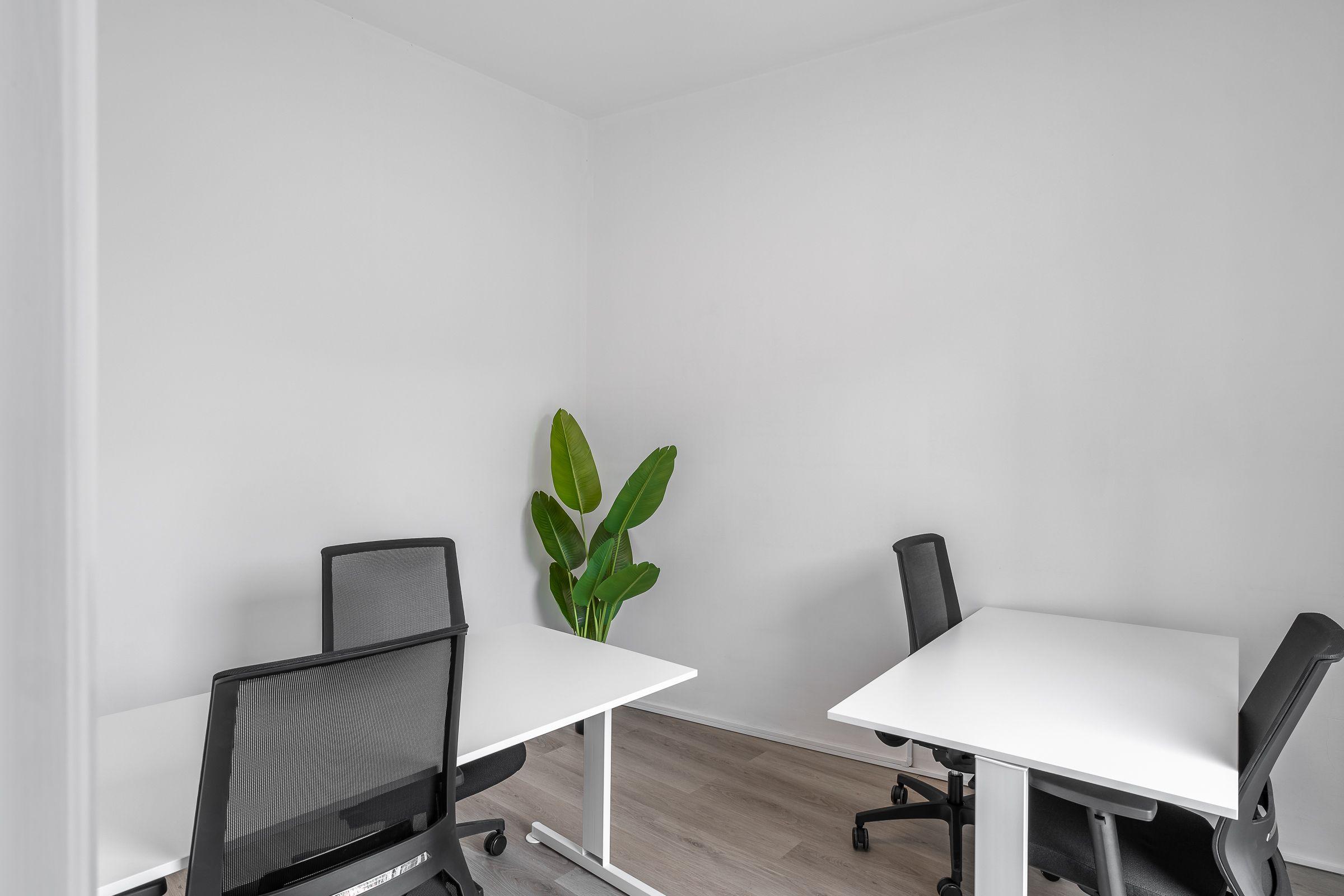 Hot desk area at Madeira Friends Hub with white desks and mesh chairs