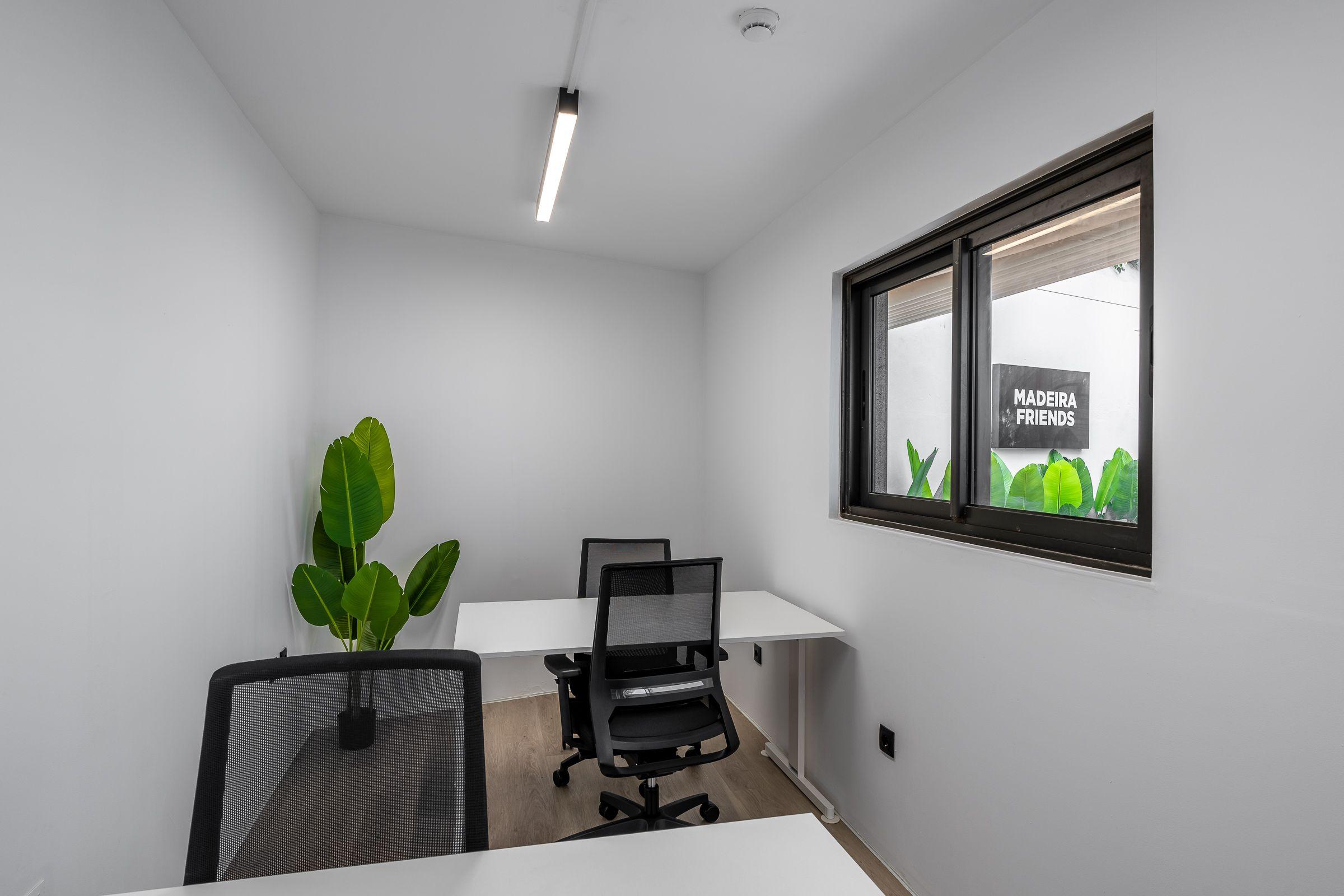 Private office room with two desks, mesh chairs, plant, and Madeira Friends signage visible through window