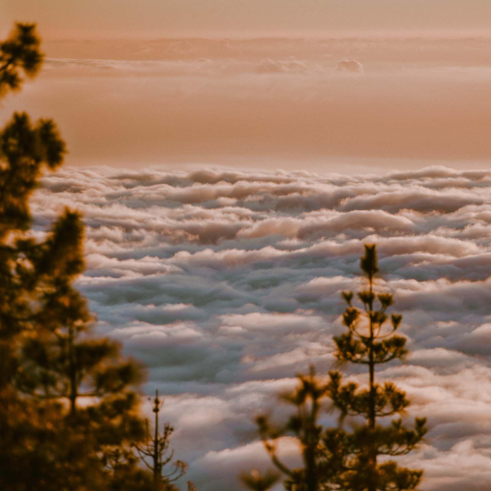 Tenerife landscape