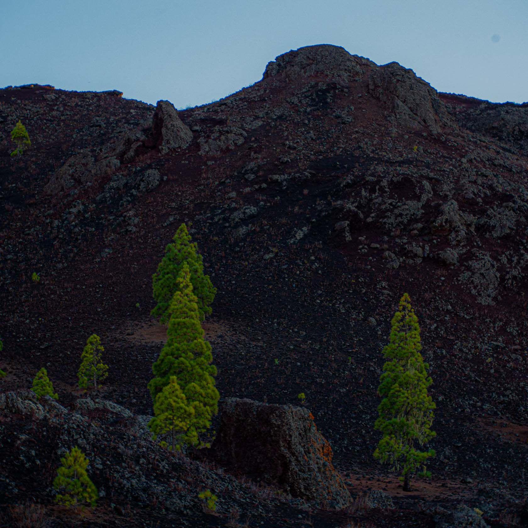 Tenerife landscape