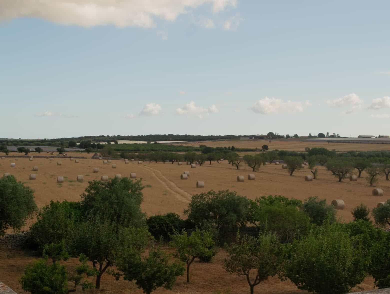 Panoramic countryside landscape surrounding Masseria Olga coliving in Puglia, Italy – olive trees, hay bales and peaceful rural scenery